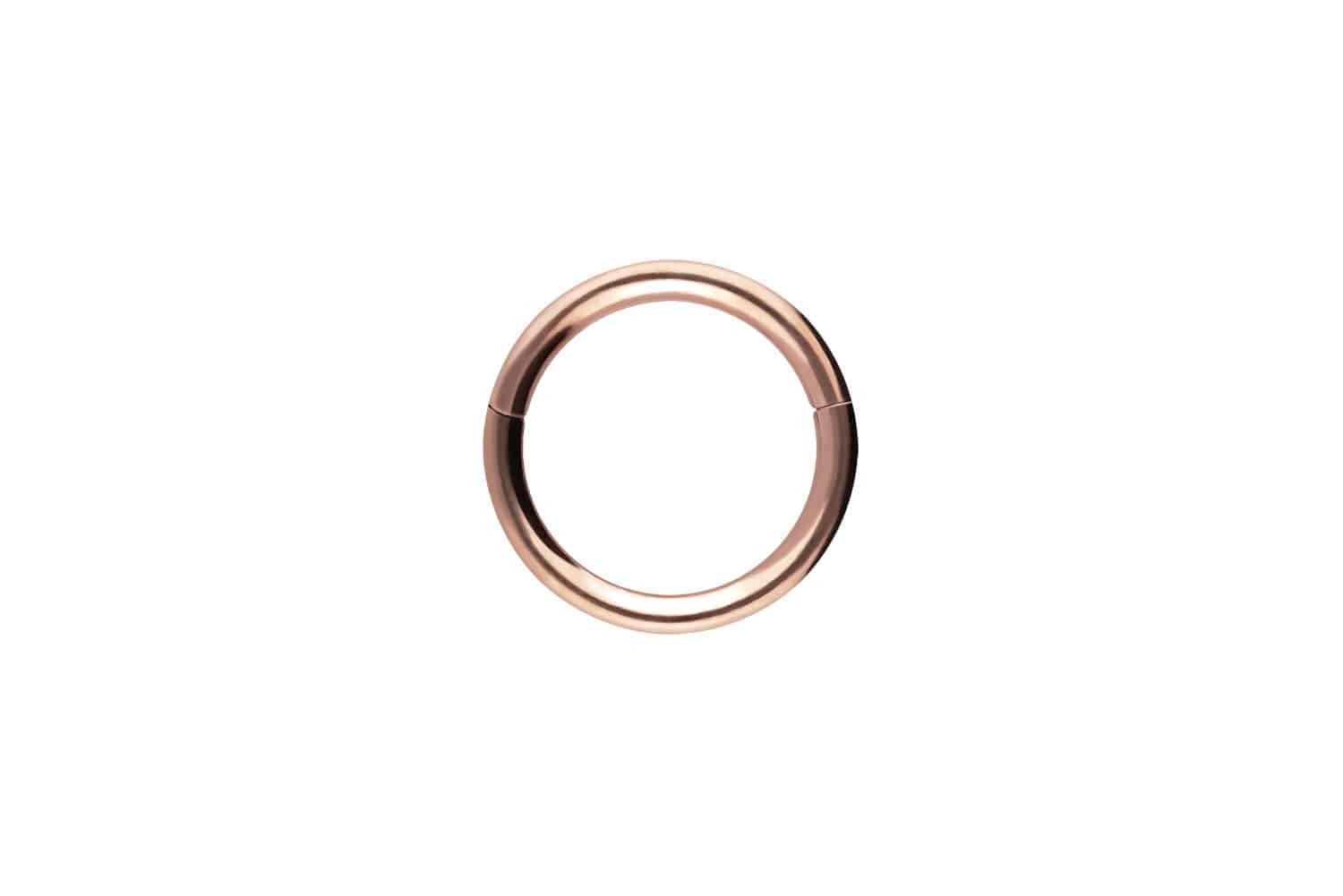 Nasenpiercing Chirurgenstahl Segmentring Clicker Ohrpiercing Septum Nase