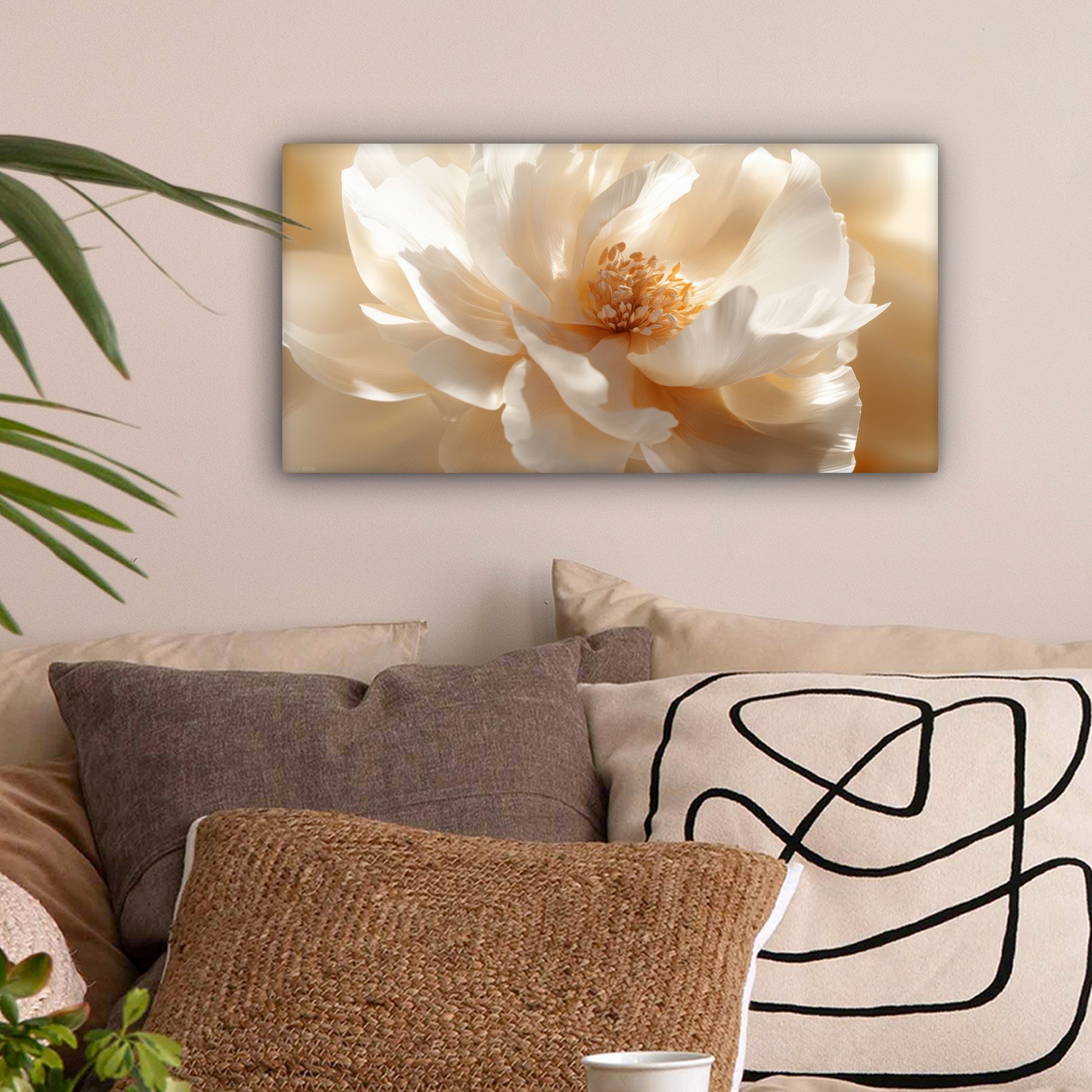 OneMillionCanvasses® Leinwandbild Panorama Nahaufnahme - Pfingstrose günstig online kaufen