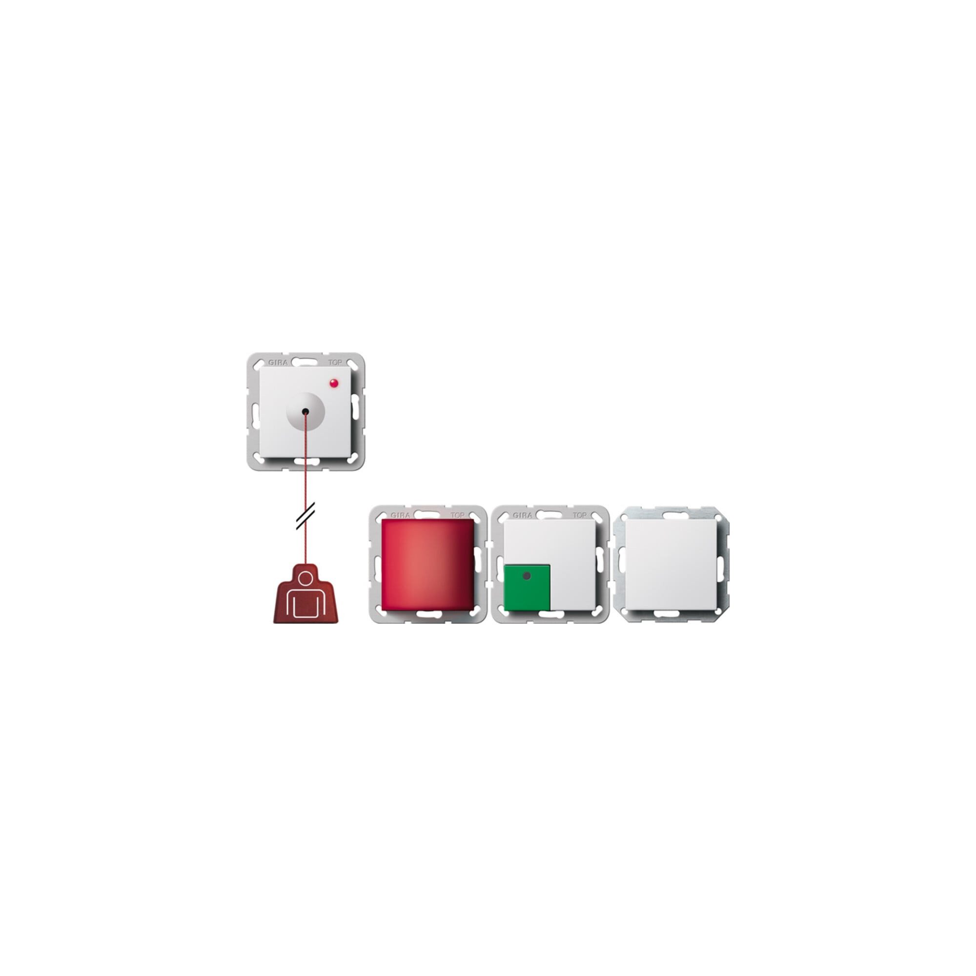 GIRA Türschließer Gira Notrufset System 55 rws 291403