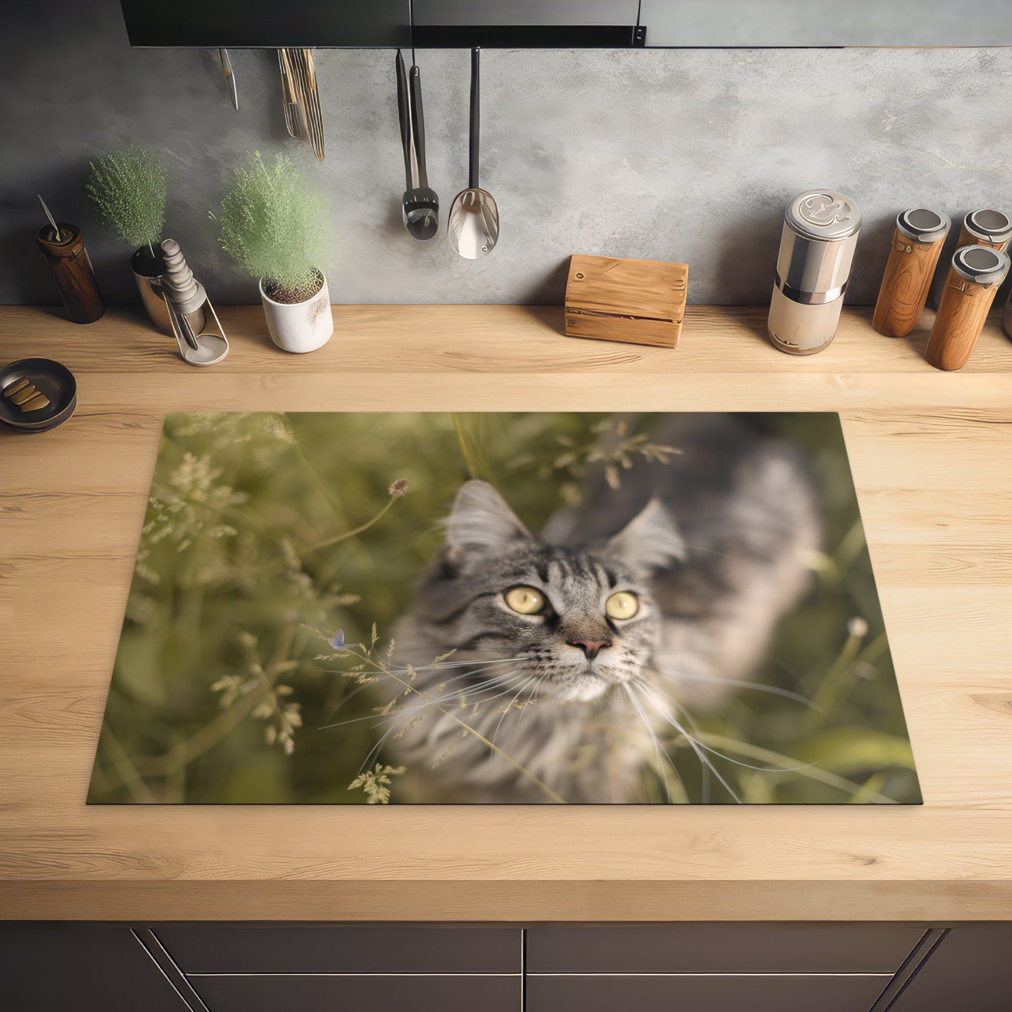 MuchoWow Herd-Abdeckplatte Eine Maine Coon-Katze im hohen Gras, Vinyl, (1 tlg), Induktionsabdeckung Vinyl, Küchenzubehör, 77x51 cm
