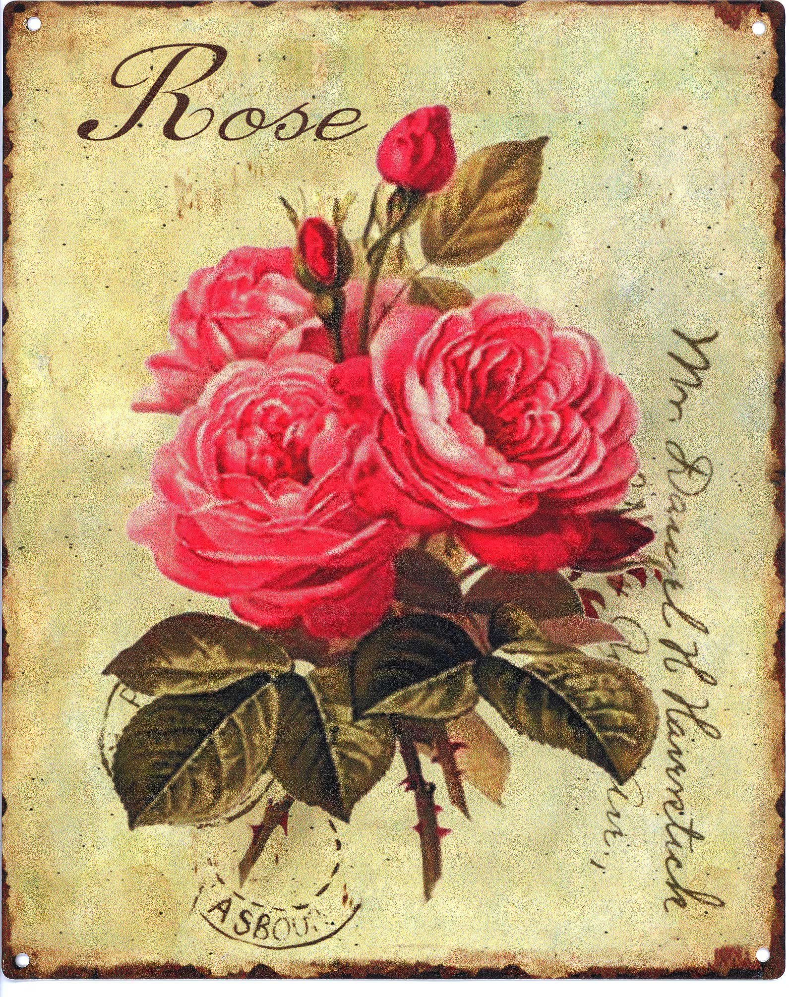 Metallschild Blechschild Rose Rosenstrauß