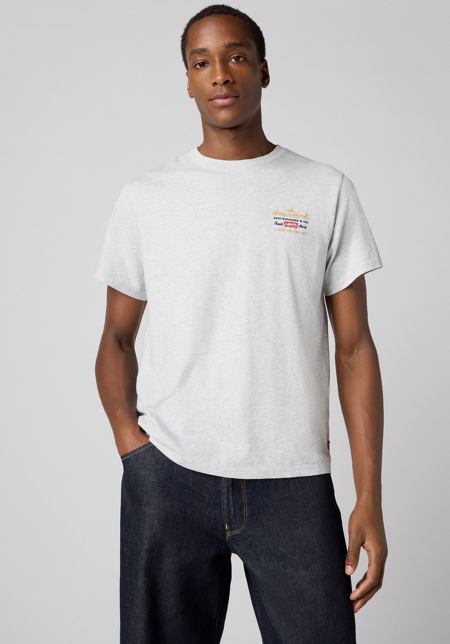 Levi's® T-Shirt LV T-Shirt RELAXED günstig online kaufen