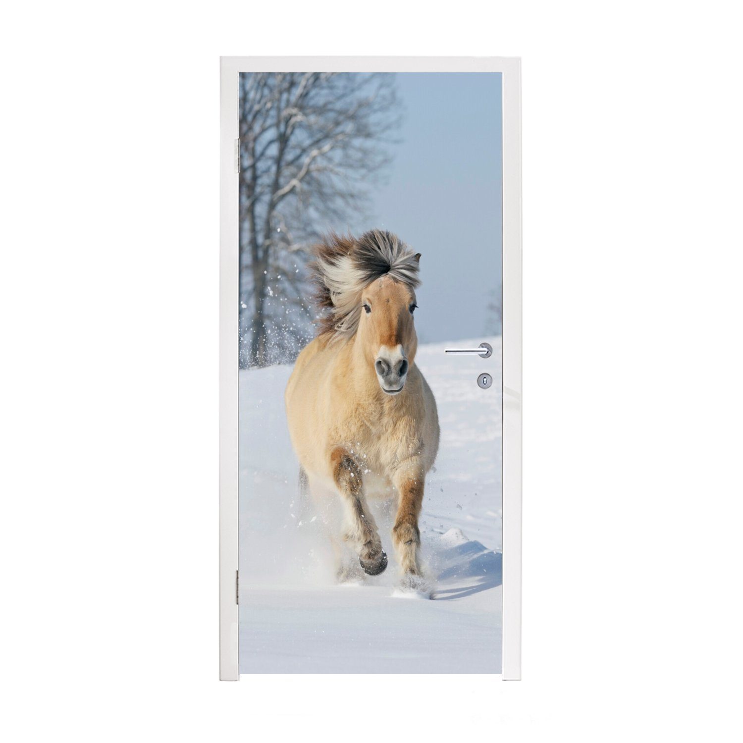 MuchoWow Türtapete Laufendes Fjordpferd im Schnee, Matt, bedruckt, (1 St), Fototapete für Tür, Türaufkleber, 75x205 cm