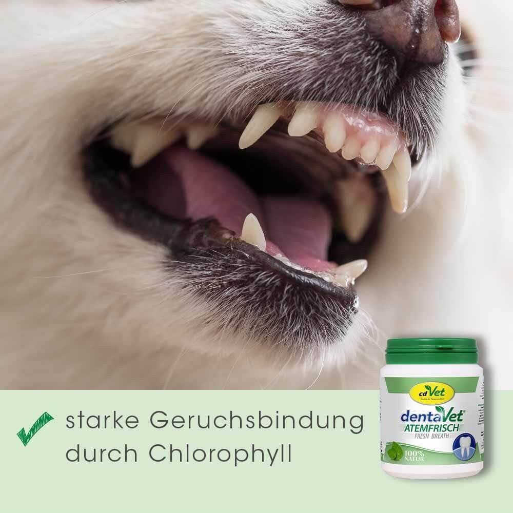 cdVet dentaVet Atemfrisch, Ergänzungsfutter für: Hunde, Alternative zu Zahnpasta oder Zahncreme für die tägliche Maulhygiene