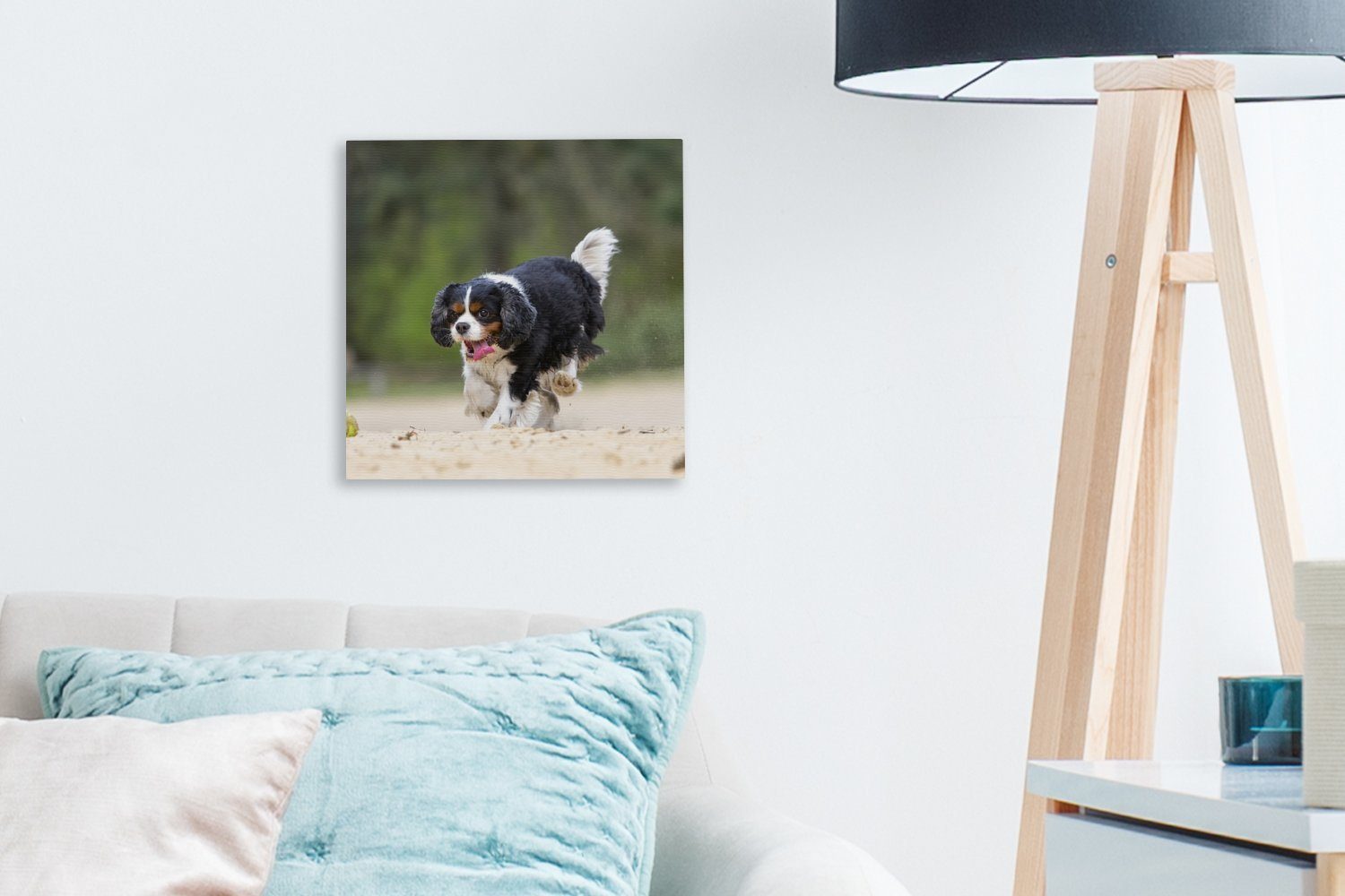 OneMillionCanvasses® Leinwandbild Wohnzimmer Cavalier mit King Tennisball, Bilder Schlafzimmer Leinwand Spaniel St), für einem (1 spielt Charles Ein