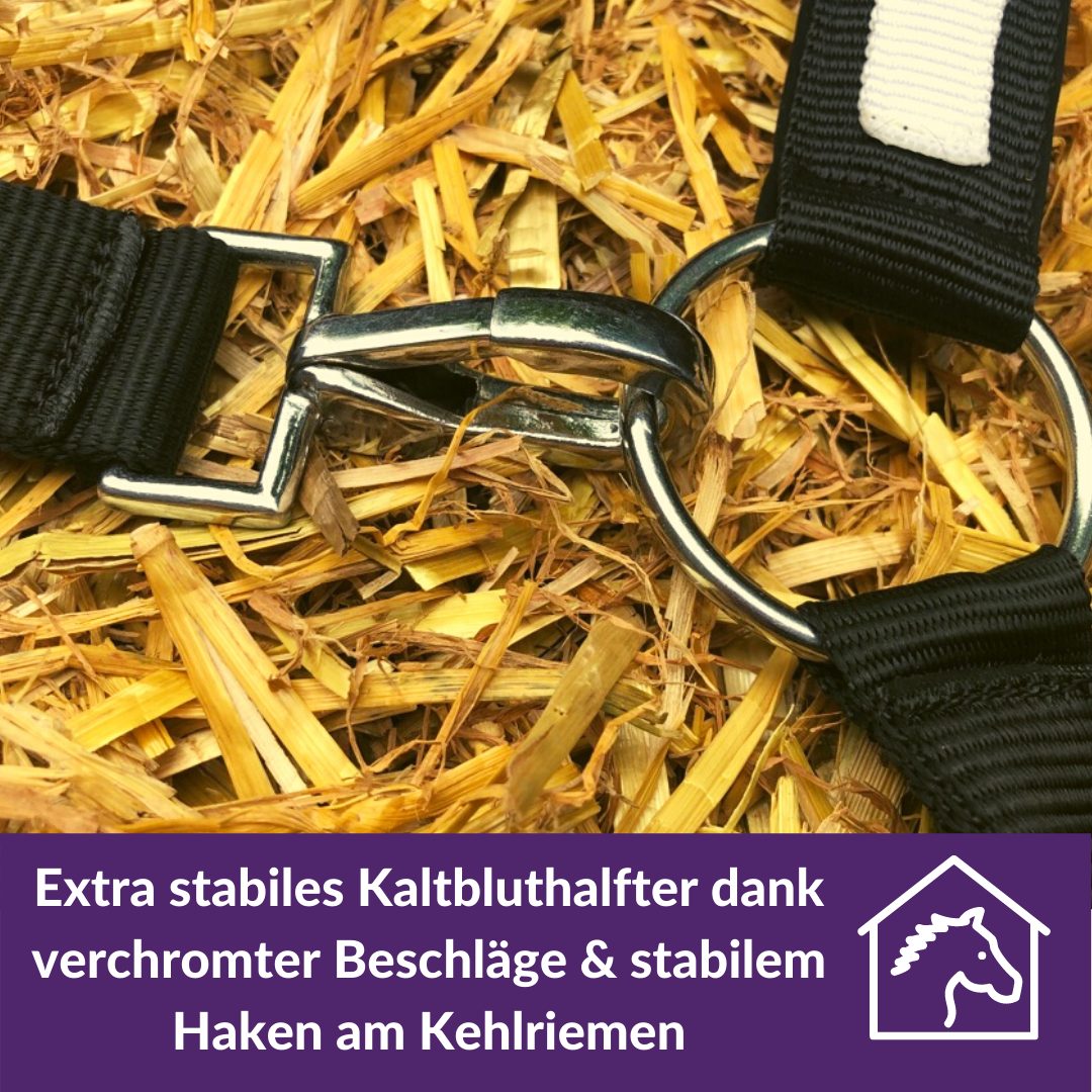 Pferdelinis Halfter Halfter für Pferde Kaltblut, xfull, 2 Fach verstellbar, zweifach verstellbar