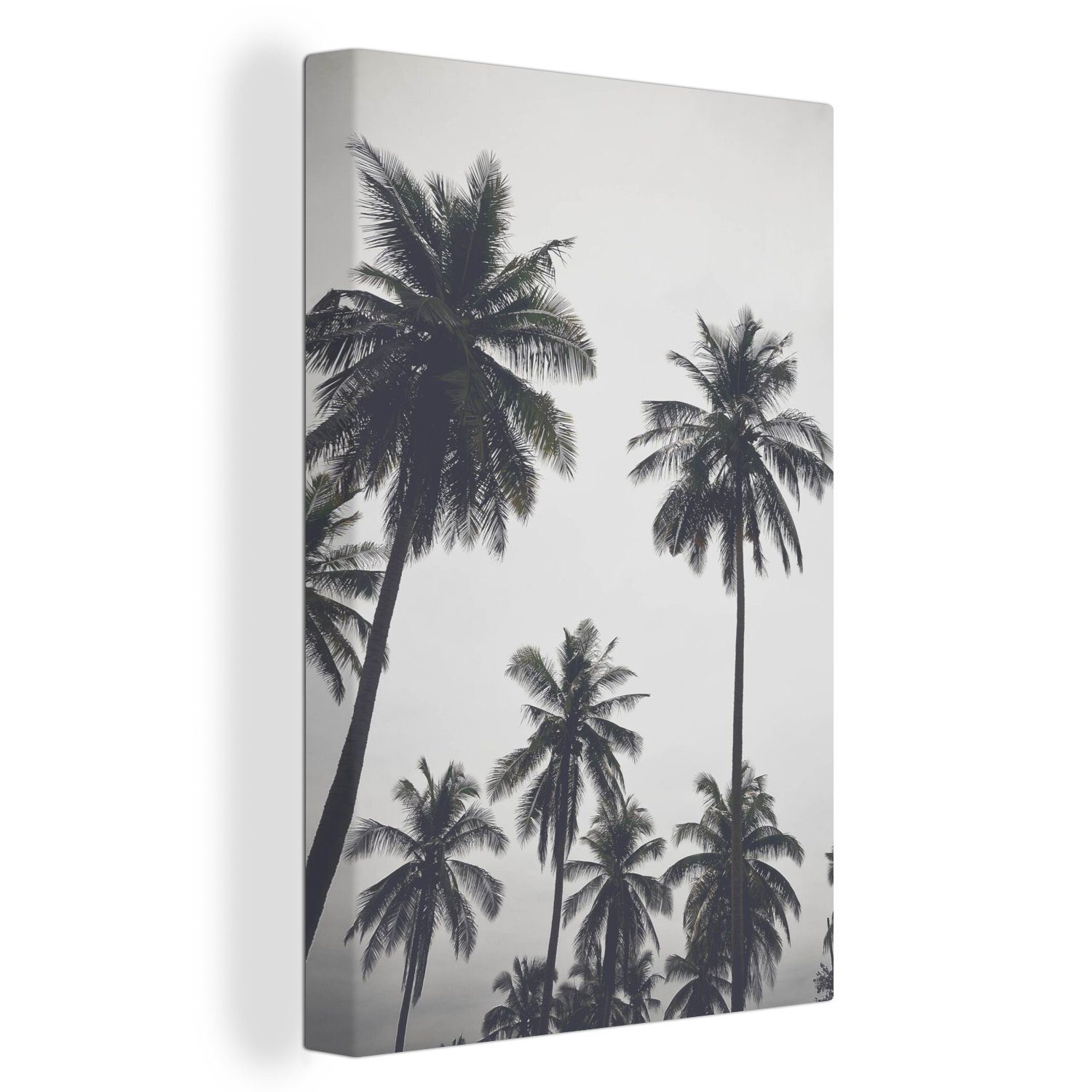 OneMillionCanvasses® Leinwandbild Palme - Tropisch - günstig online kaufen