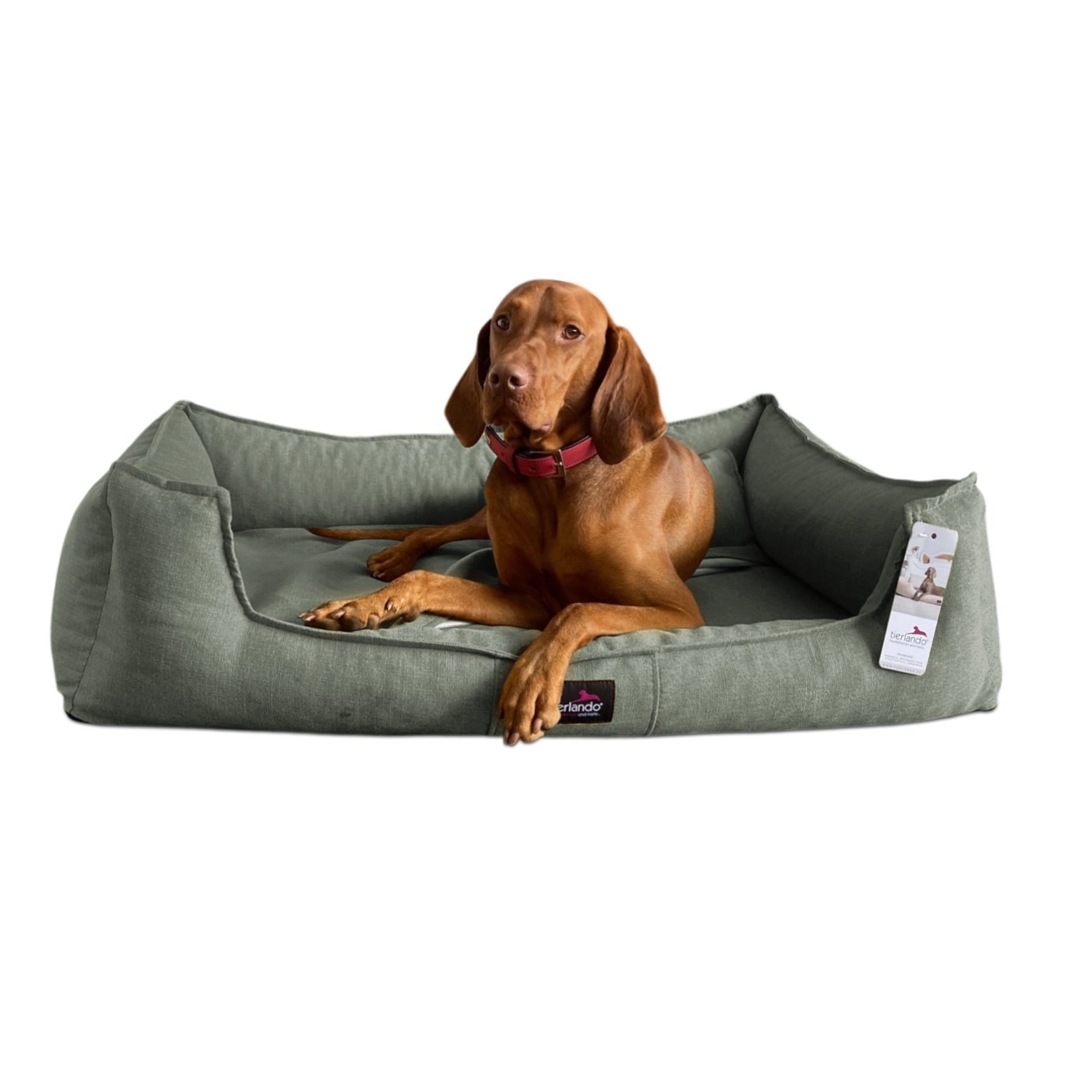 tierlando® Tierbett Orthopädisches Hundebett SCARLETT - günstig online kaufen