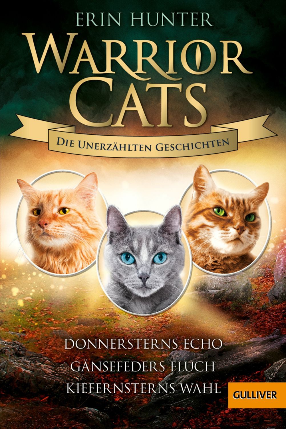 Warrior Cats - Die unerzählten Geschichten / Erin Hunter
