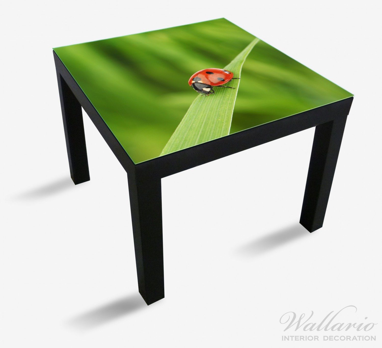Wallario Tischplatte Marienkäfer auf grünem (1 für Ikea St), geeignet Lack Blatt Tisch