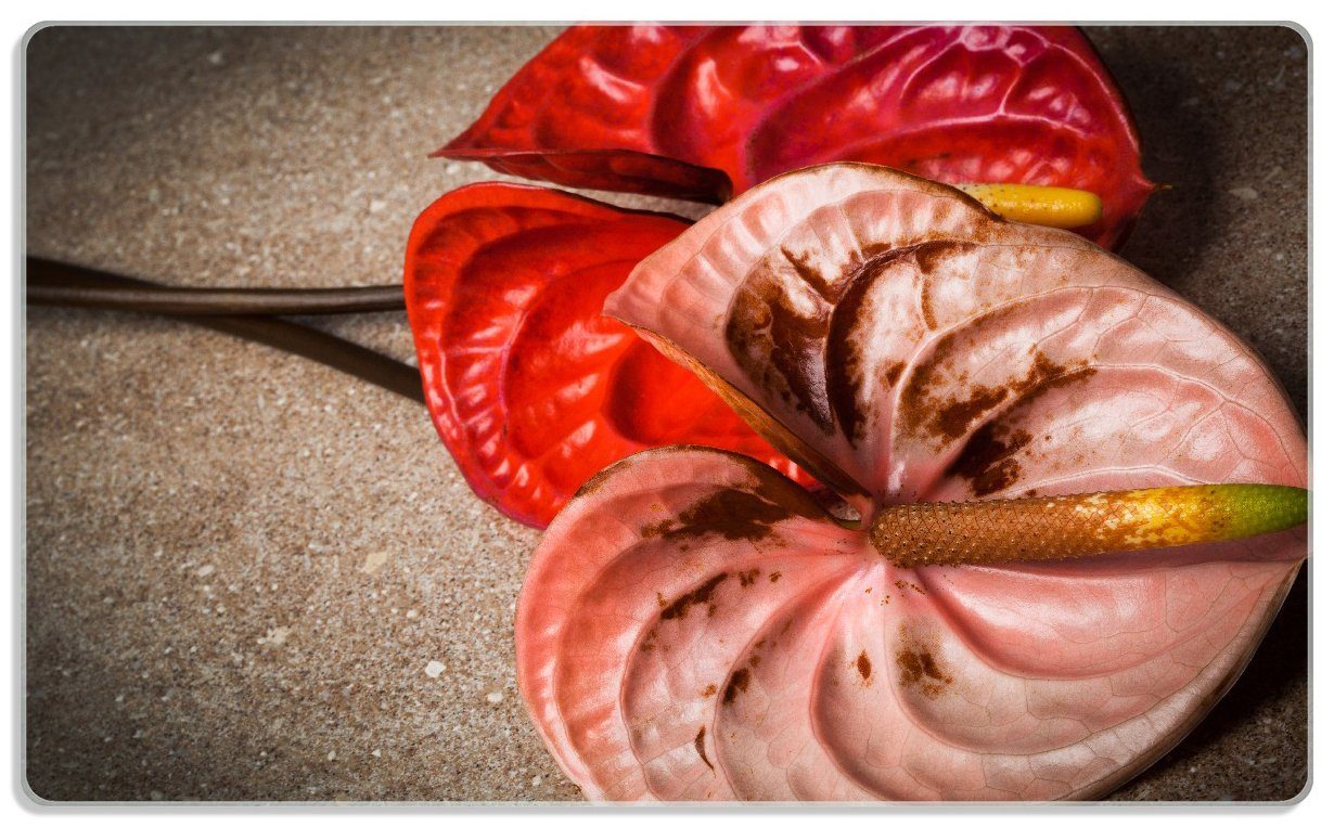 Wallario Frühstücksbrett Blüten einer auf Marmor, 4mm, Anthurie schwarzem - Gummifüße 1-St), ESG-Sicherheitsglas, Flamingoblume - 14x23cm (inkl. rutschfester