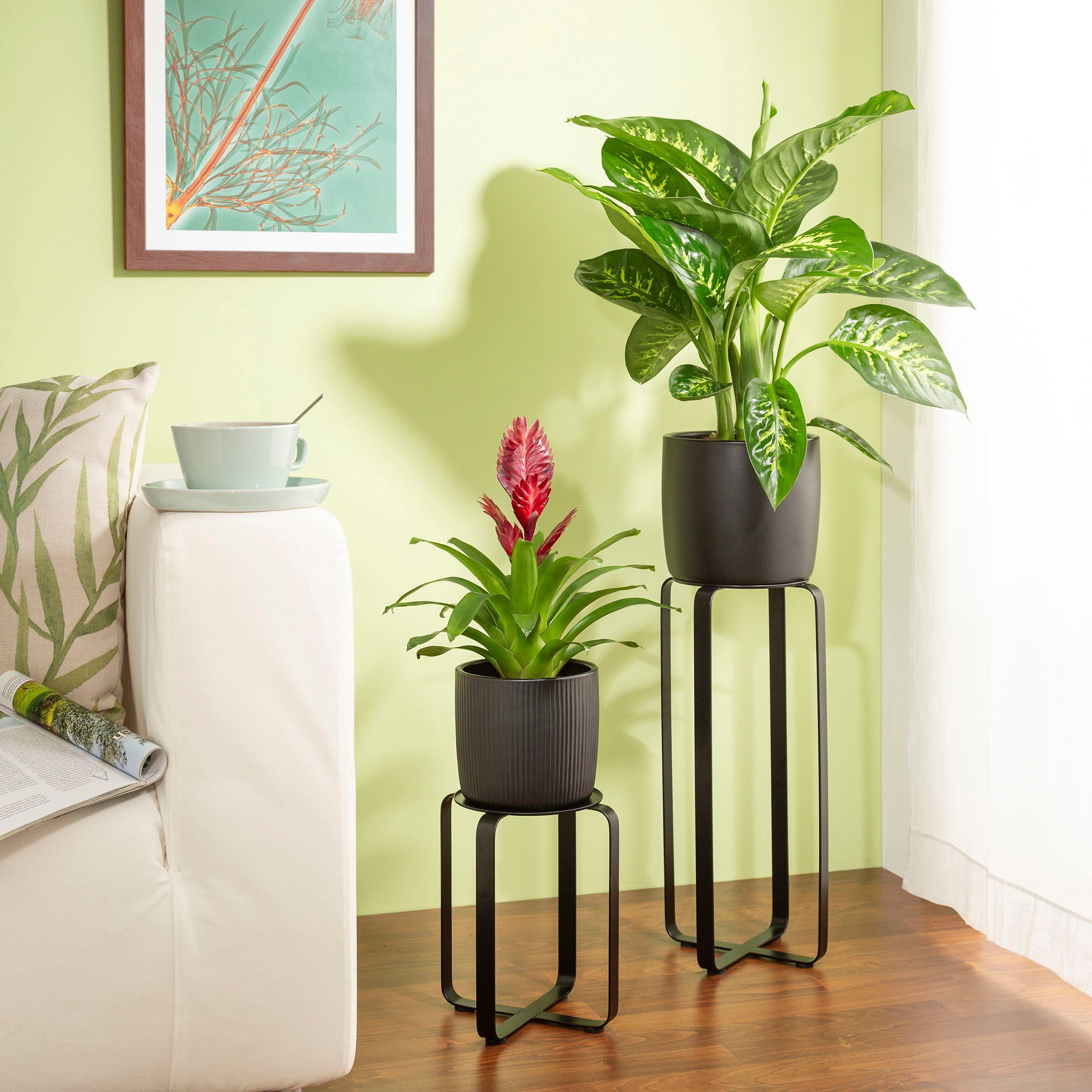 Scheurich Blumenständer satin black 51/104 günstig online kaufen