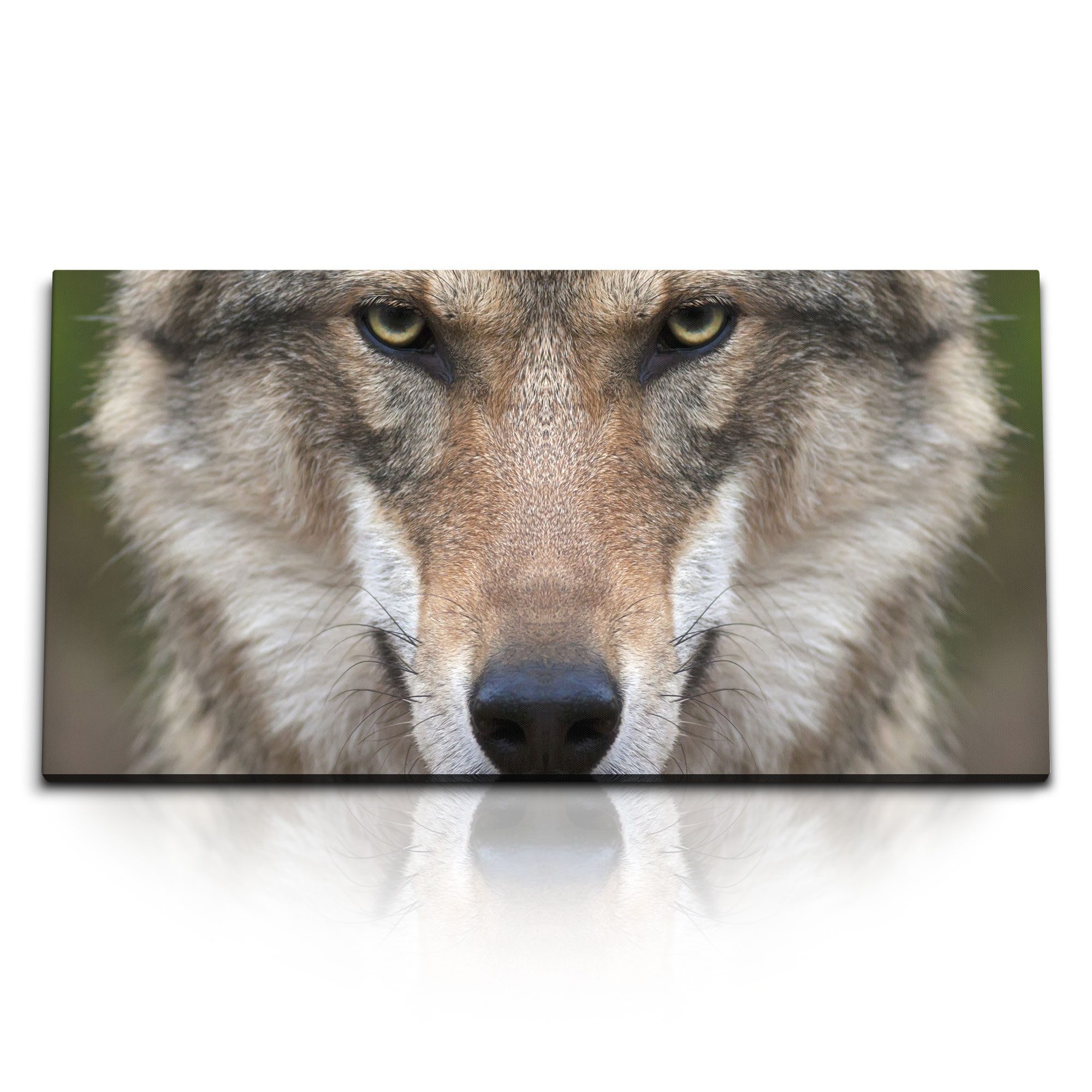 Leinwandbild Kunstdruck Bilder 120x60cm Grauer Wolf Tierfotografie Porträt Raubtier