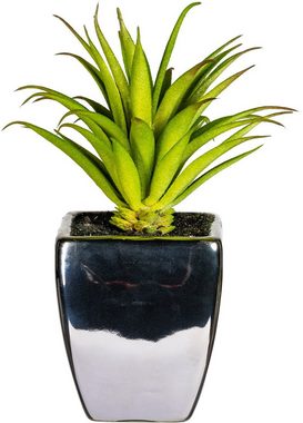 Kunstpflanze Loreen Sukkulente, Leonique, Höhe 13 cm, im Topf, 3er Set