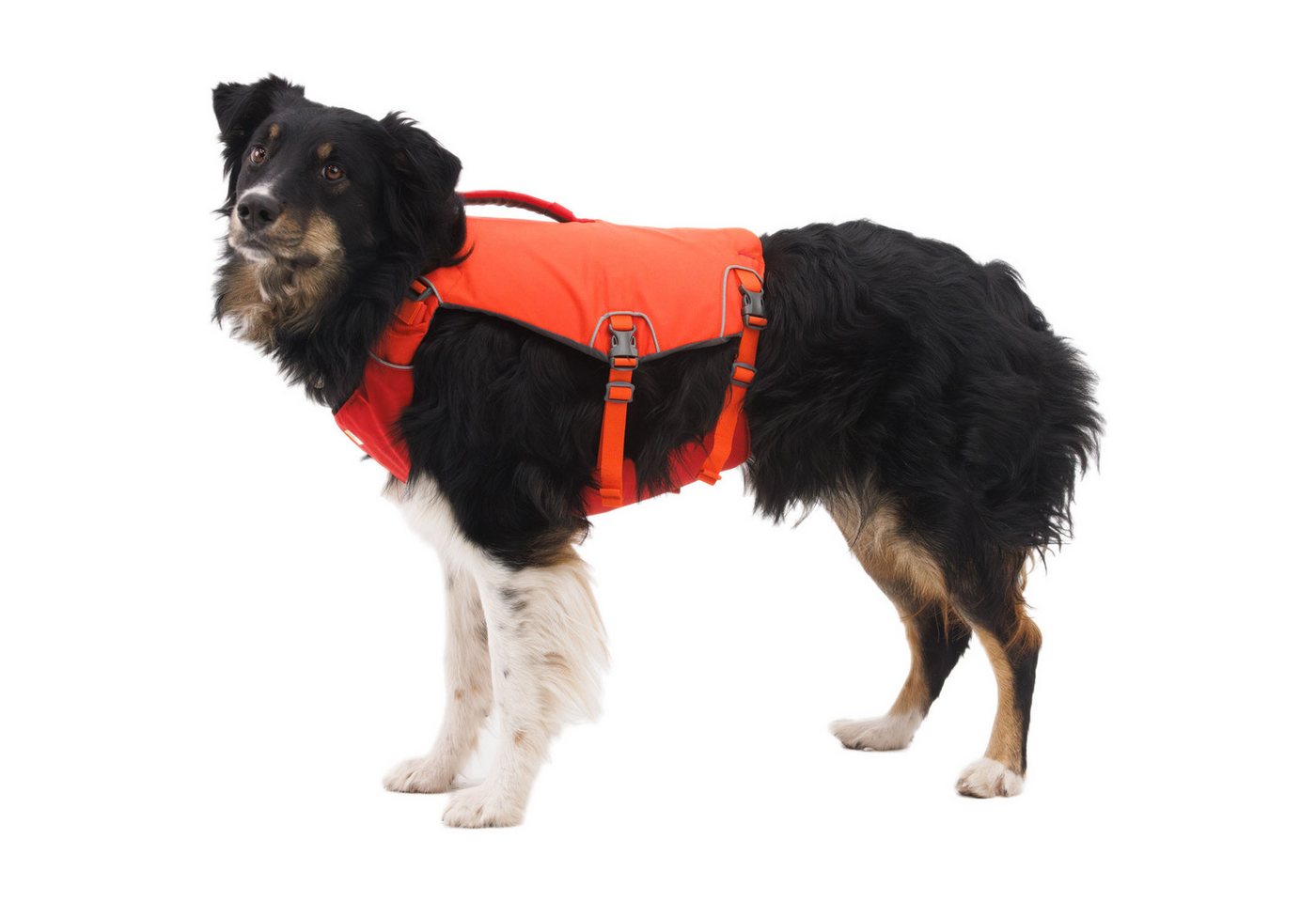 Thumbnail - Ruffwear Hunde-Geschirr Confluence™ Life Jacket 4525-802, Premium Schwimmhilfe für Hunde