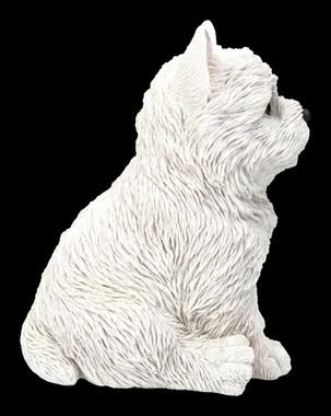 Figuren Shop GmbH Tierfigur West Highland Terrier Figur - Westie Welpe - Tierdeko Dekofigur Hund