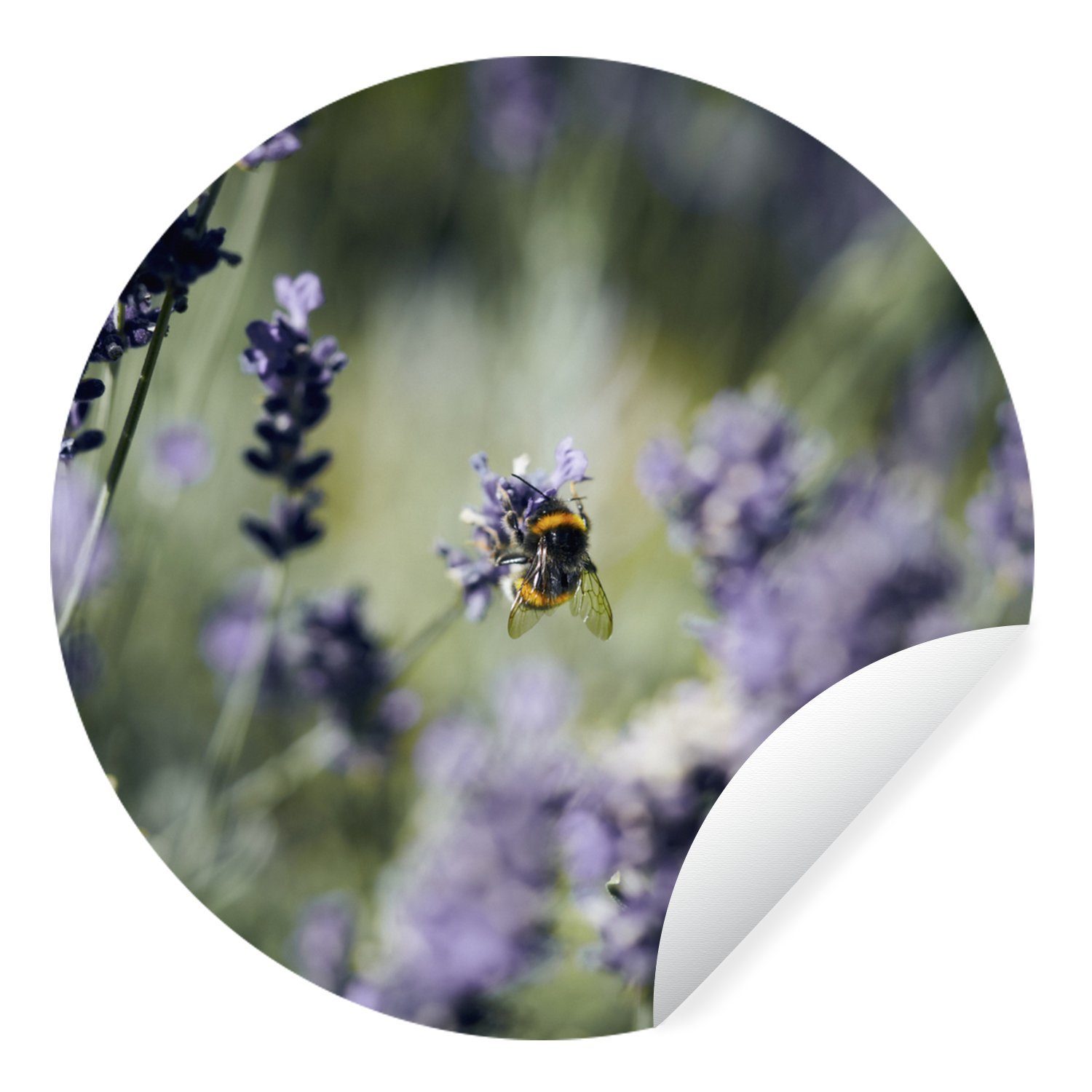 MuchoWow Wandsticker Hummeln - Lavendel - Insekten (1 St), Tapetenkreis für Kinderzimmer, Tapetenaufkleber, Rund, Wohnzimmer