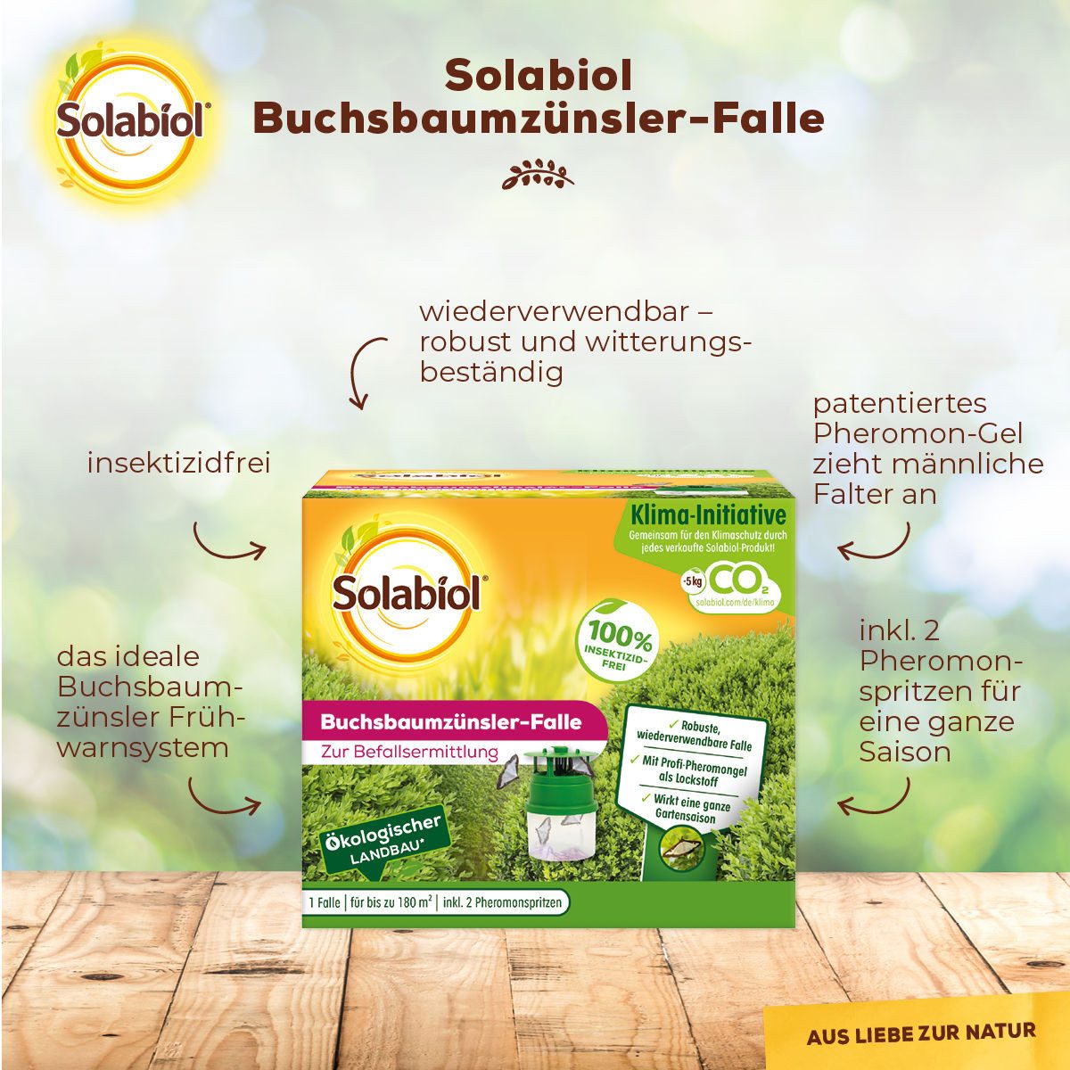 Solabiol Insektenfalle Buchsbaumzünsler-Falle