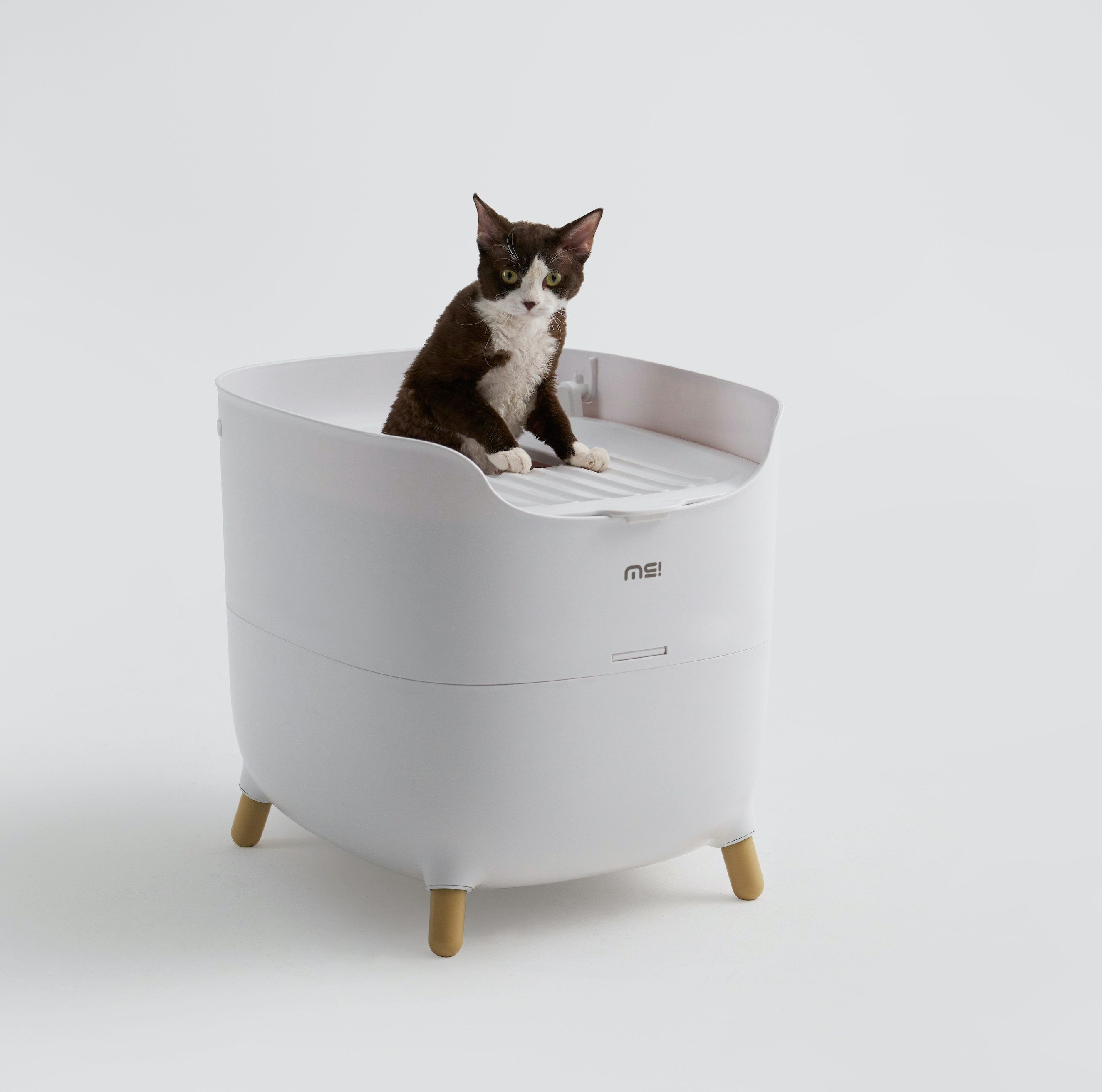 Purpurra Katzentoilette Makesure TOP, Extragroß mit Streuschaufe