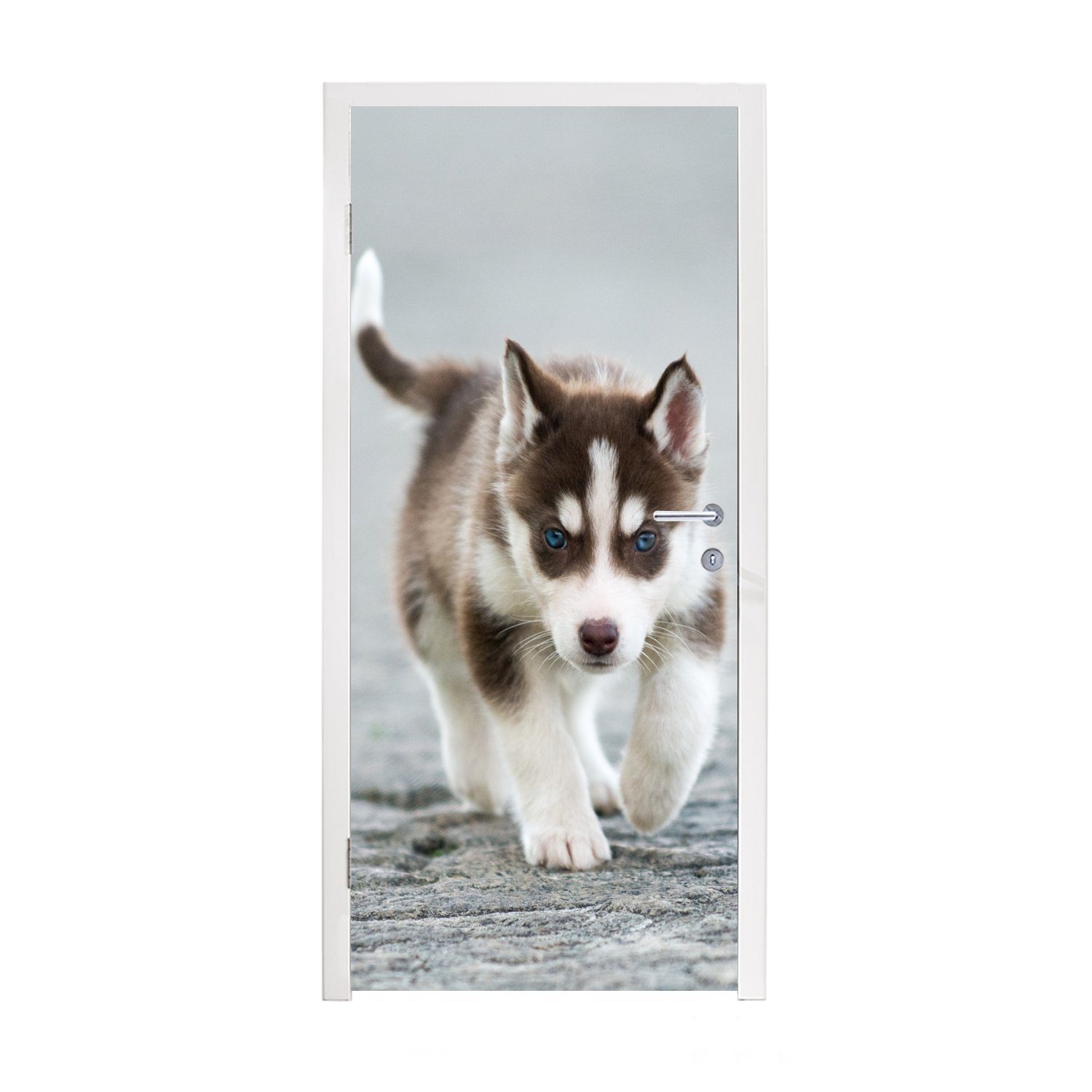 MuchoWow Türtapete Husky-Welpe läuft über die Straße, Matt, bedruckt, (1 St), Fototapete für Tür, Türaufkleber, 75x205 cm