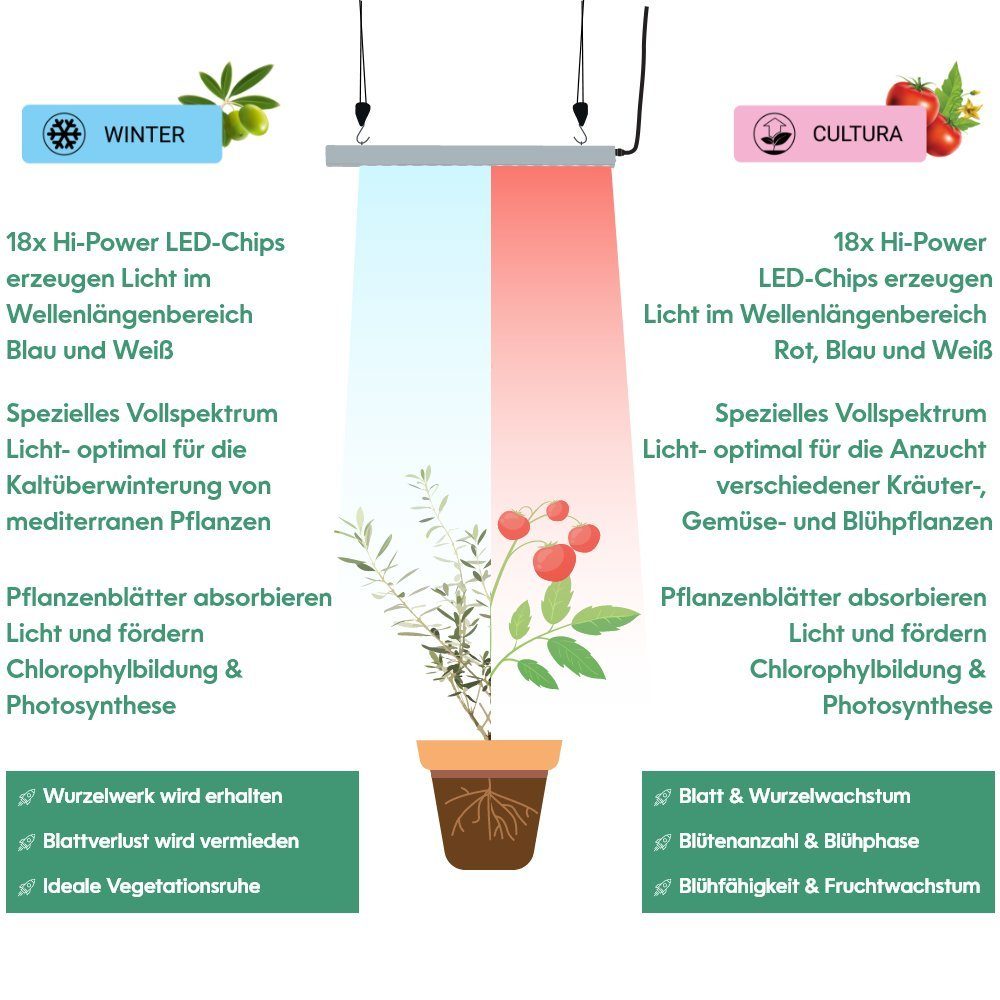 30W integriert, Pflanzenlampe Cultur, Winter, GrowLight PARUS LED Pflanzenarmatur Quattro