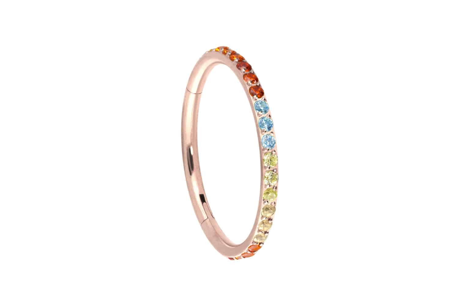 Nasenpiercing Titan Segmentring Clicker EINGEFASSTE BUNTE KRISTALLE Ohrpiercing