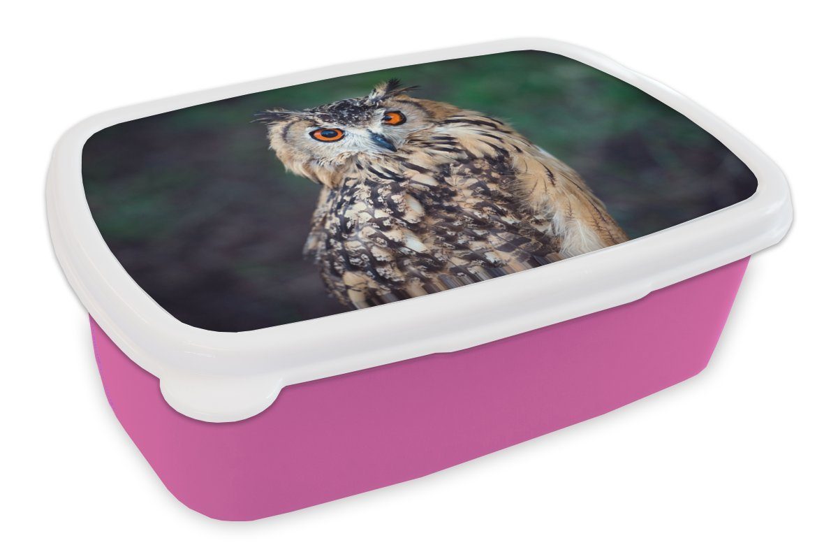 MuchoWow Lunchbox Eule, Kunststoff, (2-tlg), Brotbox für Erwachsene, Brotdose Kinder, Snackbox, Mädchen, Kunststoff rosa