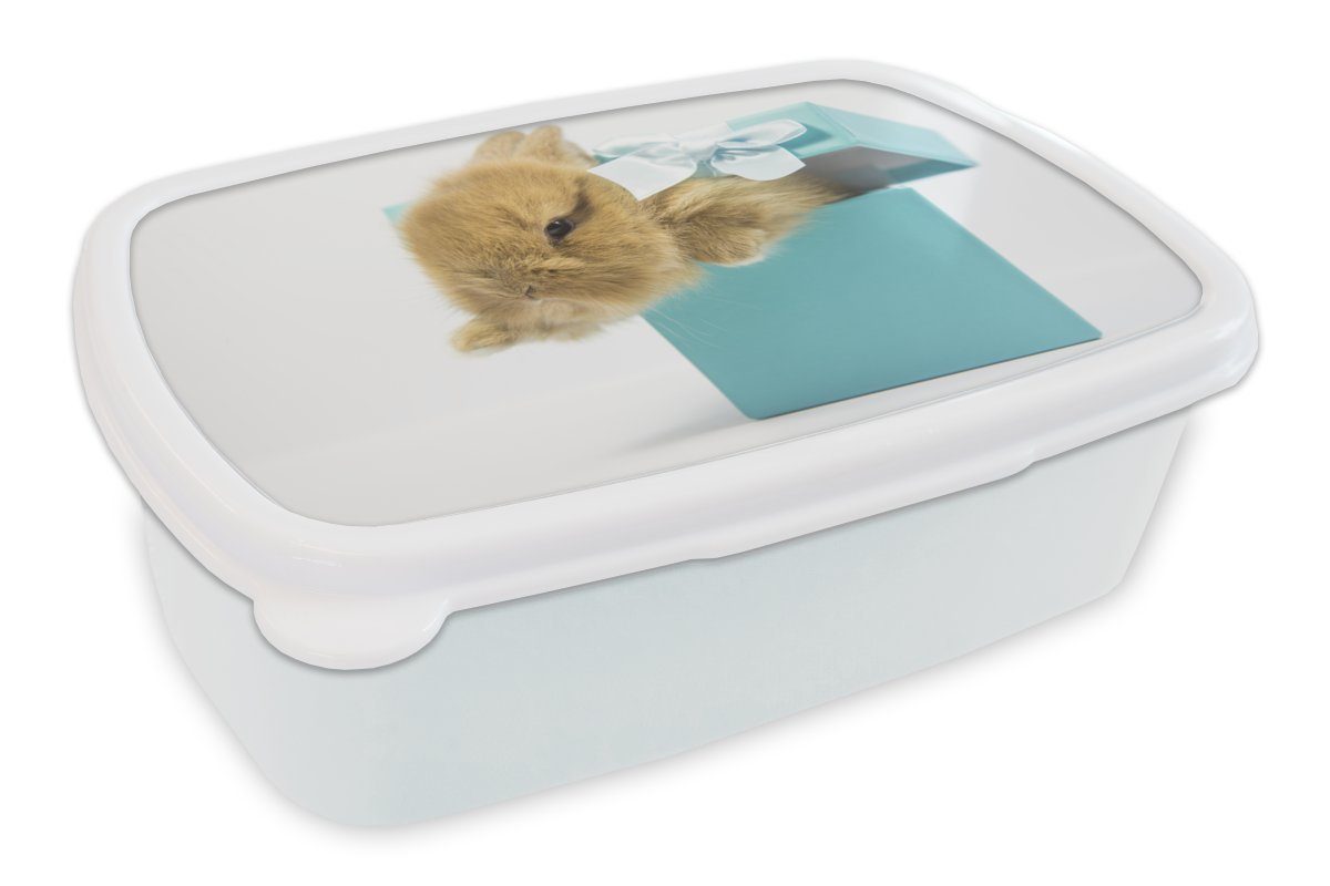 MuchoWow Lunchbox Kaninchen - Pastell - Blau, Kunststoff, (2-tlg), Brotbox für Kinder und Erwachsene, Brotdose, für Jungs und Mädchen weiß