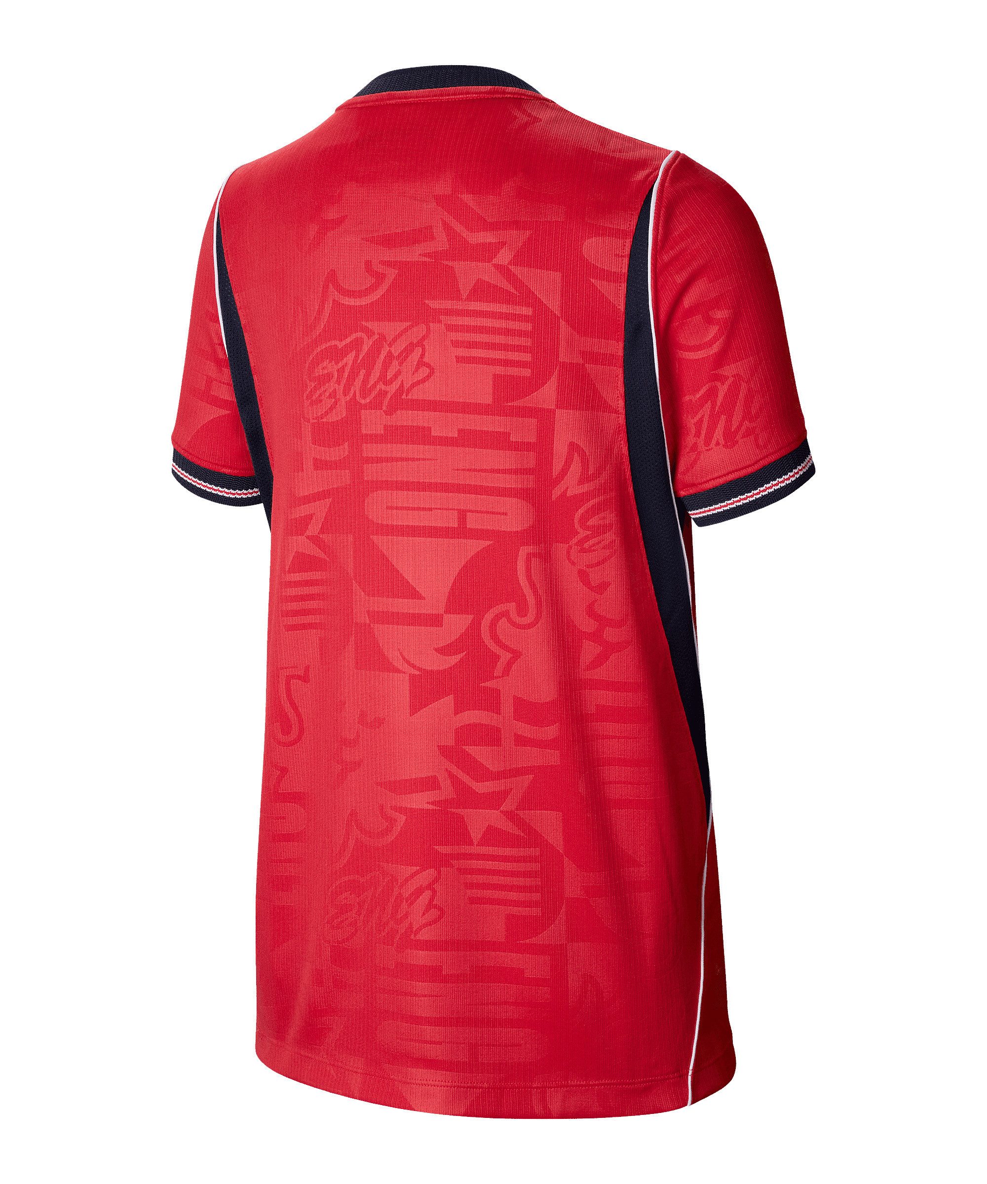 Nike Fußballtrikot Nike Performance Weltmeisterschaft