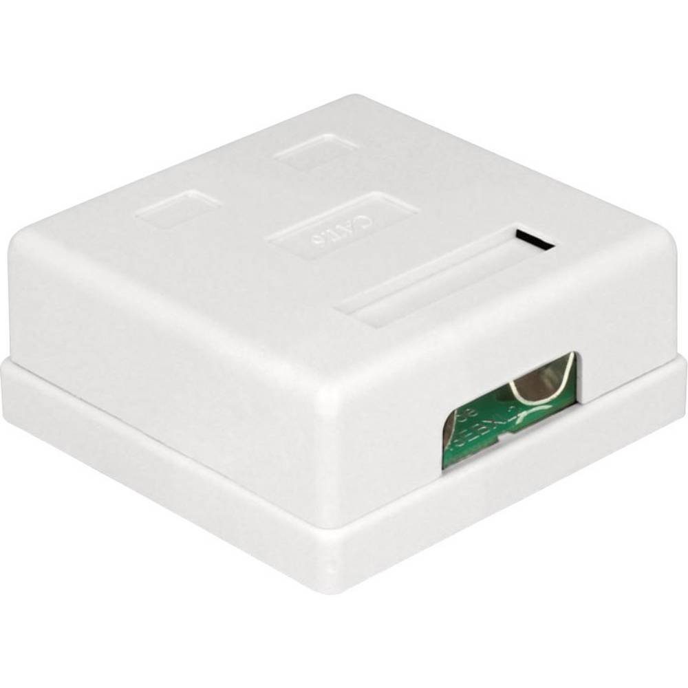 Delock Netzwerk Anschlussdose 2 Port Cat.6 86269 Netzwerk-Adapter