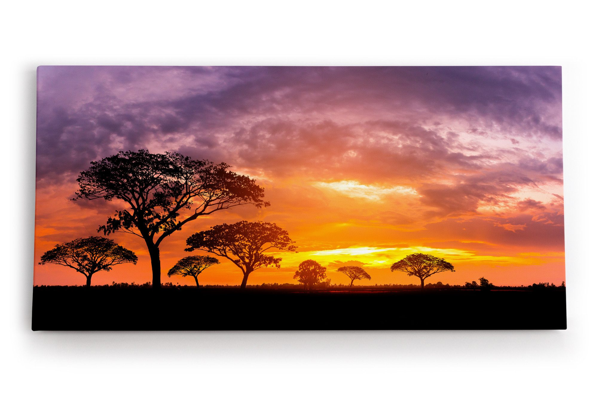 Leinwandbild Afrikanische Landschaft Burkea Africana Bäume Sonnenuntergang