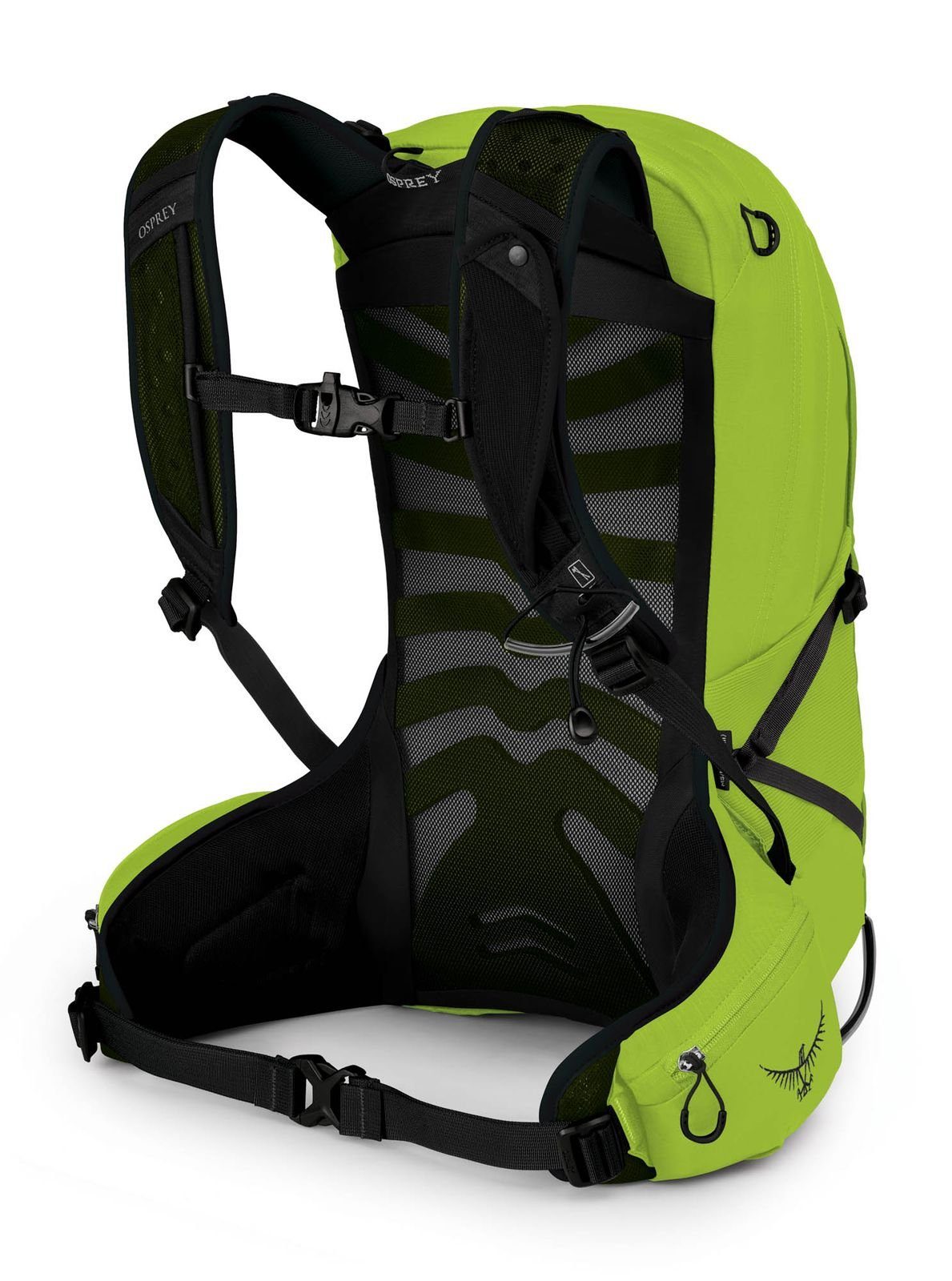 Osprey Rucksack Limon Green