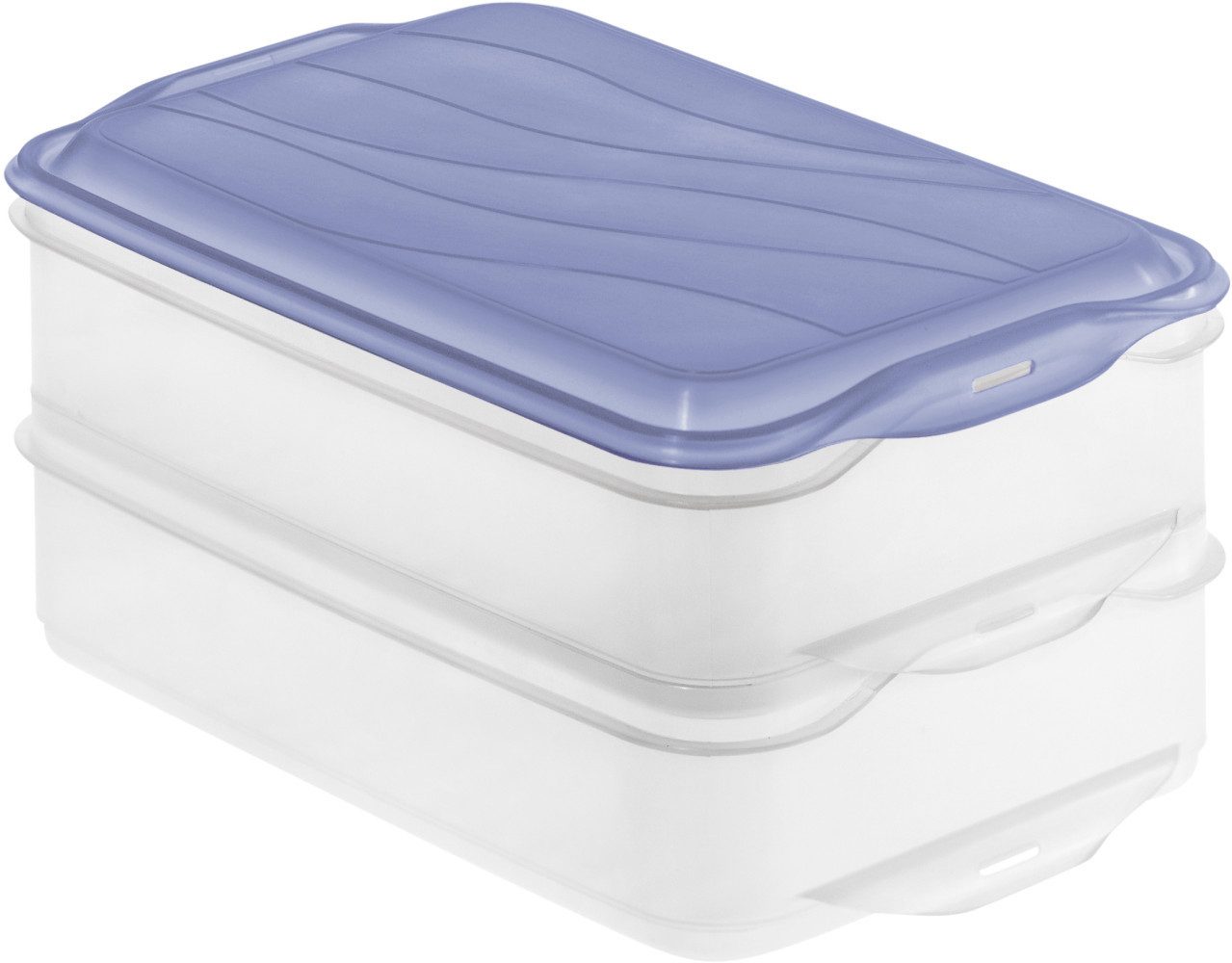 ROTHO Vorratsdose Rotho Kühlschrankdose Rondo 2 x 1,35 l horizon, Kunststoff