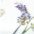 Delindo Lifestyle Mitteldecke LAVENDEL + HERZ, Strukturgewebe, bedruckt – Bild 2 von 2