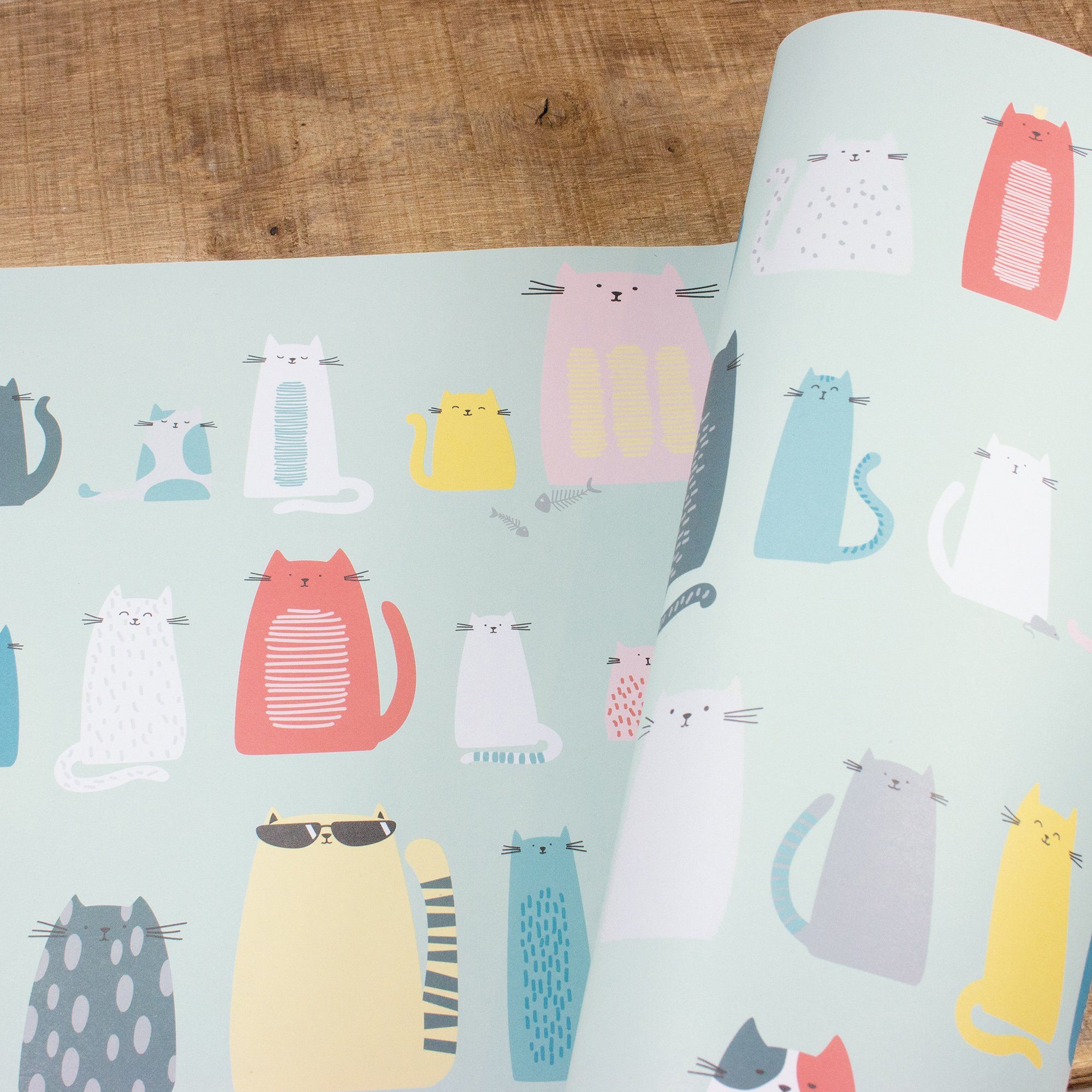 Bow & Hummingbird Geschenkpapier Katzen 69x48cm – Hochwertiges Geschenkpapier mit modernem Katzenmotiv, Bow & Hummingbird, 100% Recyclingpapier