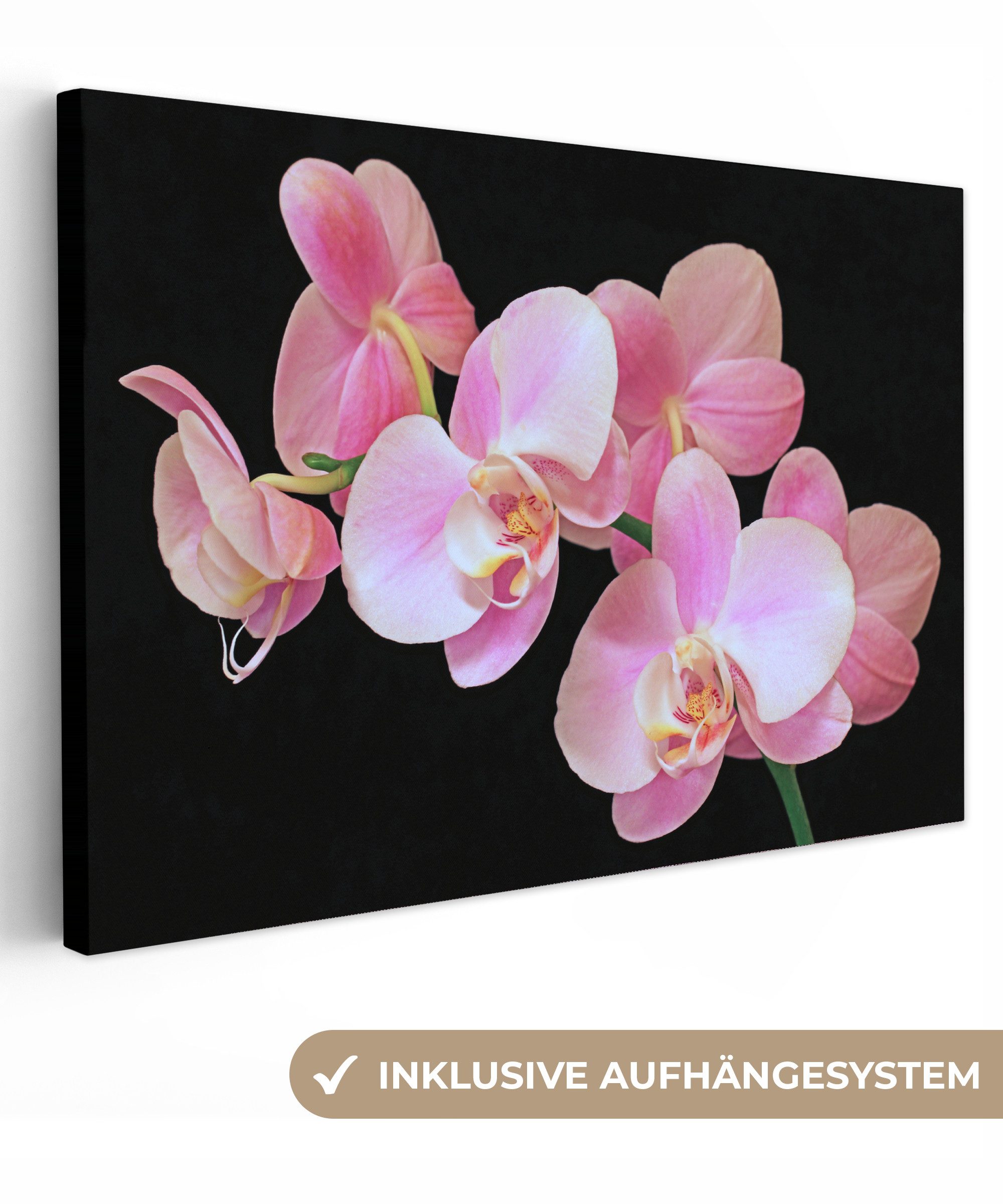 OneMillionCanvasses® Leinwandbild Eine Nahaufnahme von rosa günstig online kaufen