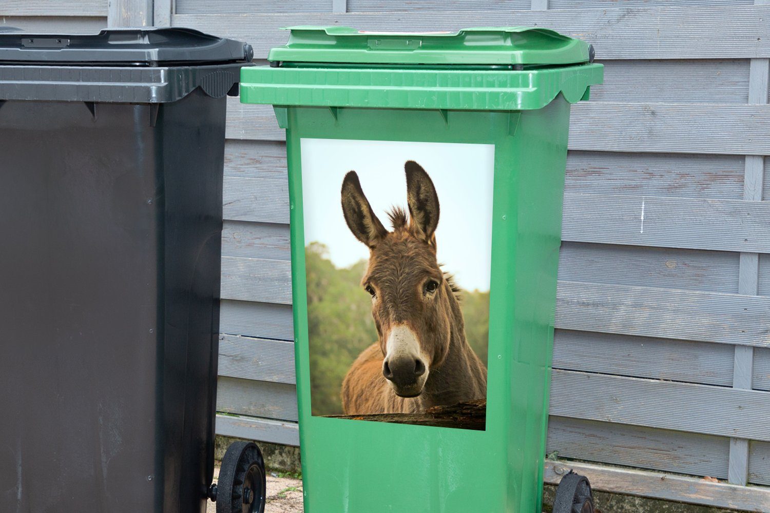 eines Mülltonne, Abfalbehälter Mülleimer-aufkleber, MuchoWow Wandsticker Esels braunen Nahaufnahme (1 St), Sticker, Container,