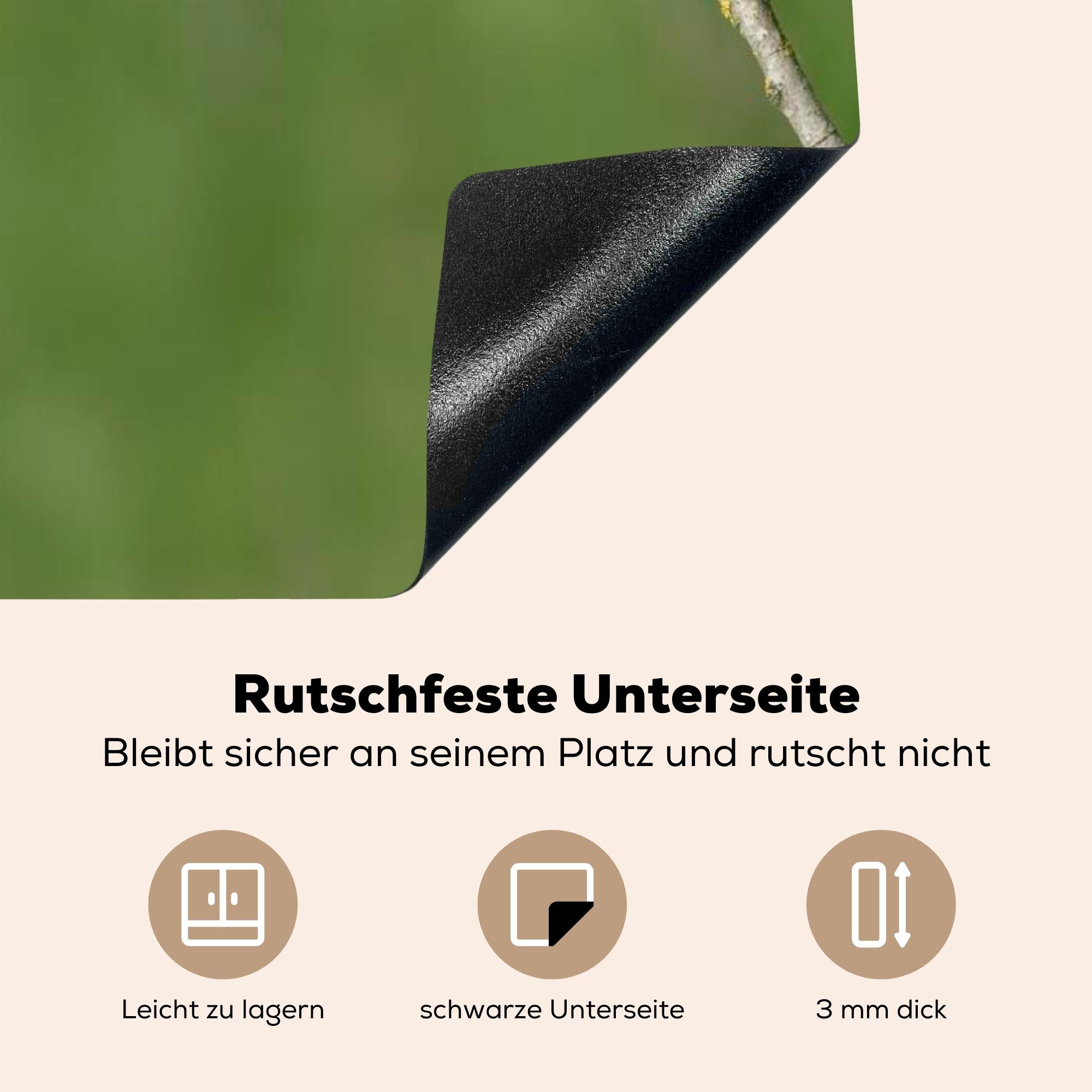 83x51 küche für sitzen MuchoWow Herdblende-/Abdeckplatte tlg), gebogenen Vinyl, Ceranfeldabdeckung, Bienenfresser Ast, (1 Arbeitsplatte einem Vier cm, auf