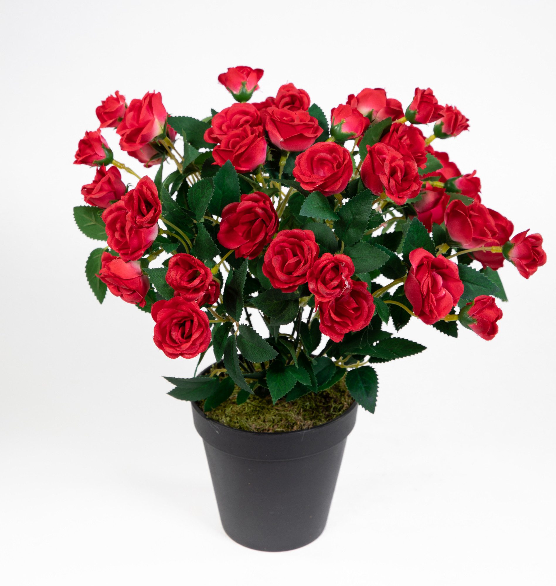 Kunstblume Rosenbusch 30cm im Topf ZF Rosenstrauch Kunstpflanze künstliche Blumen Rosen, Seidenblumen Roß, Höhe 30 cm, Rot