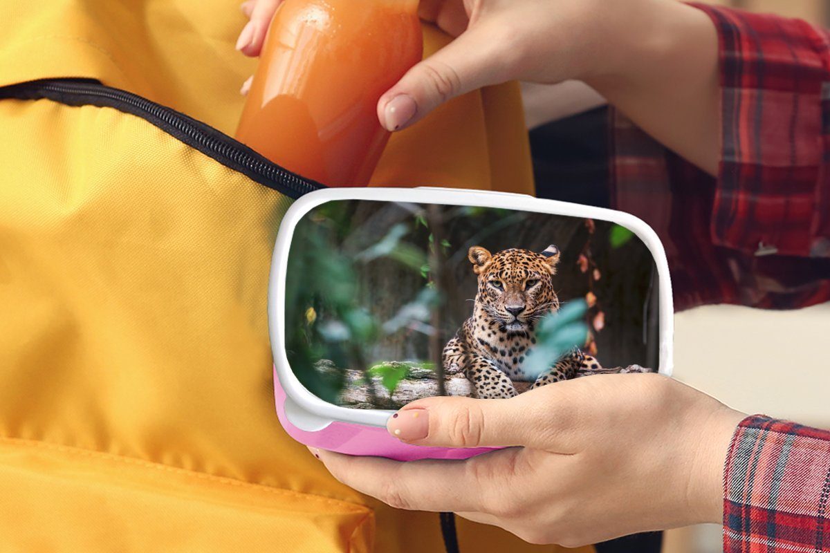 Kunststoff, Kinder, Brotdose Mädchen, Brotbox Snackbox, für Tiere, - Kunststoff Lunchbox Dschungel MuchoWow rosa (2-tlg), - Panther Erwachsene,