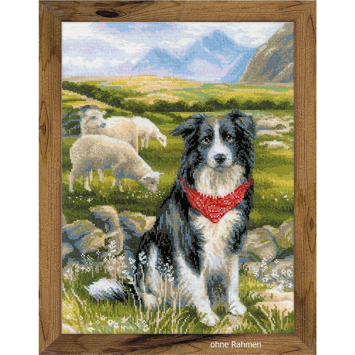 Riolis Kreativset Riolis Kreuzstichset "Border Collie", Zählmuster, (embroidery kit by Marussia)