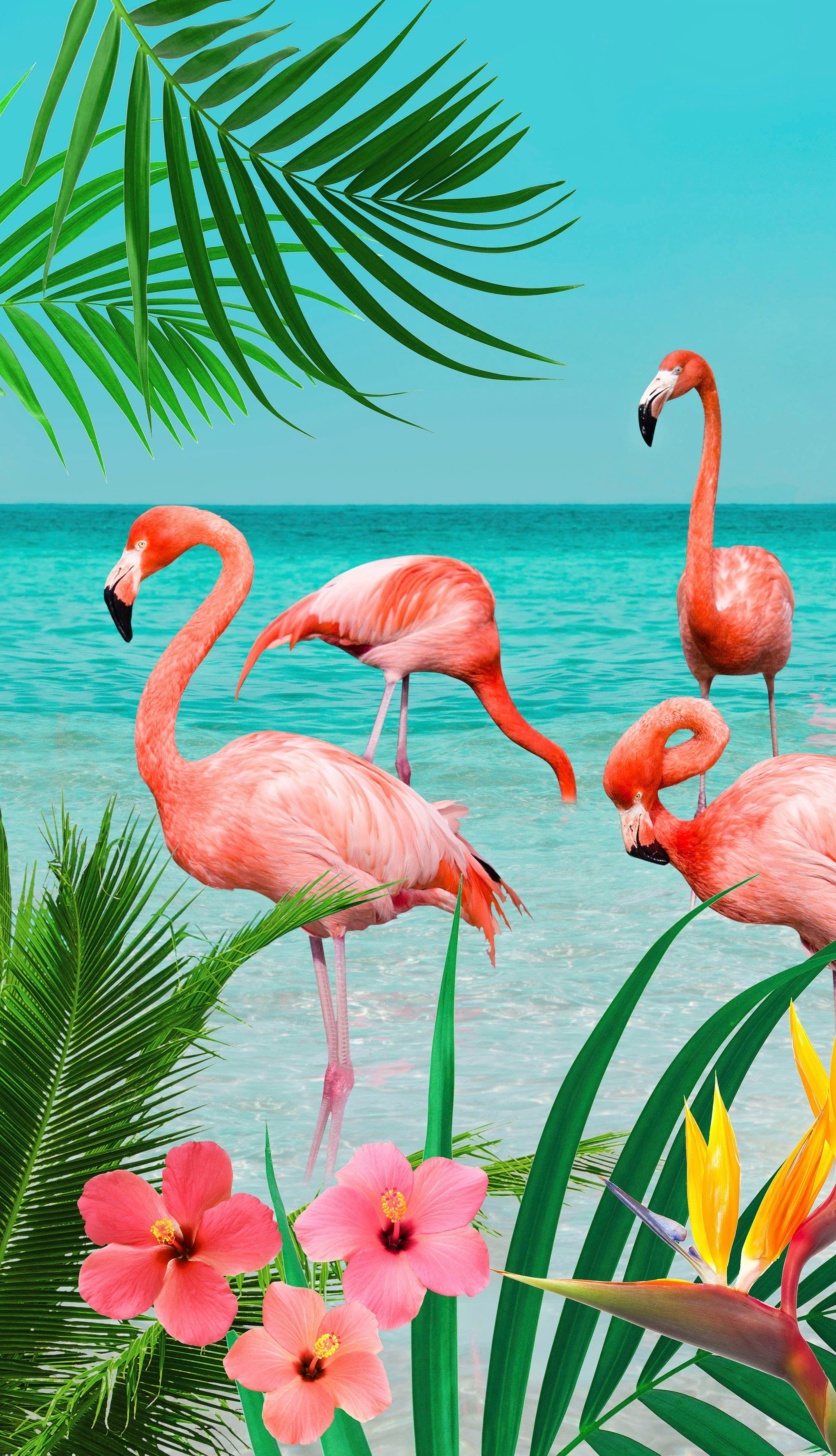 morning Flamingo, Flamingos (1-St), good Microfaser Strandtuch mit