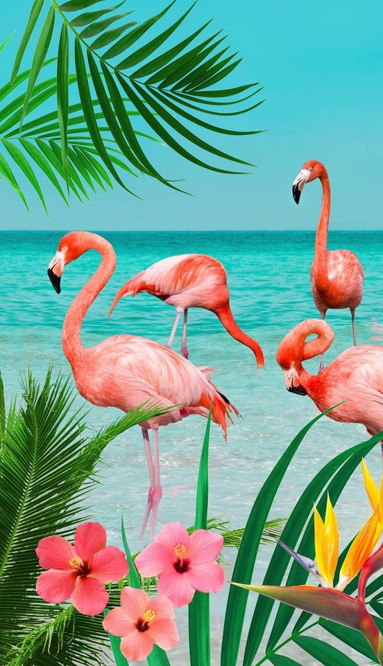 good morning Strandtuch Flamingo, Microfaser (1-St), mit Flamingos, Das  Frottier erreicht nach mehrmaliger Wäsche seine volle Saugfähigkeit