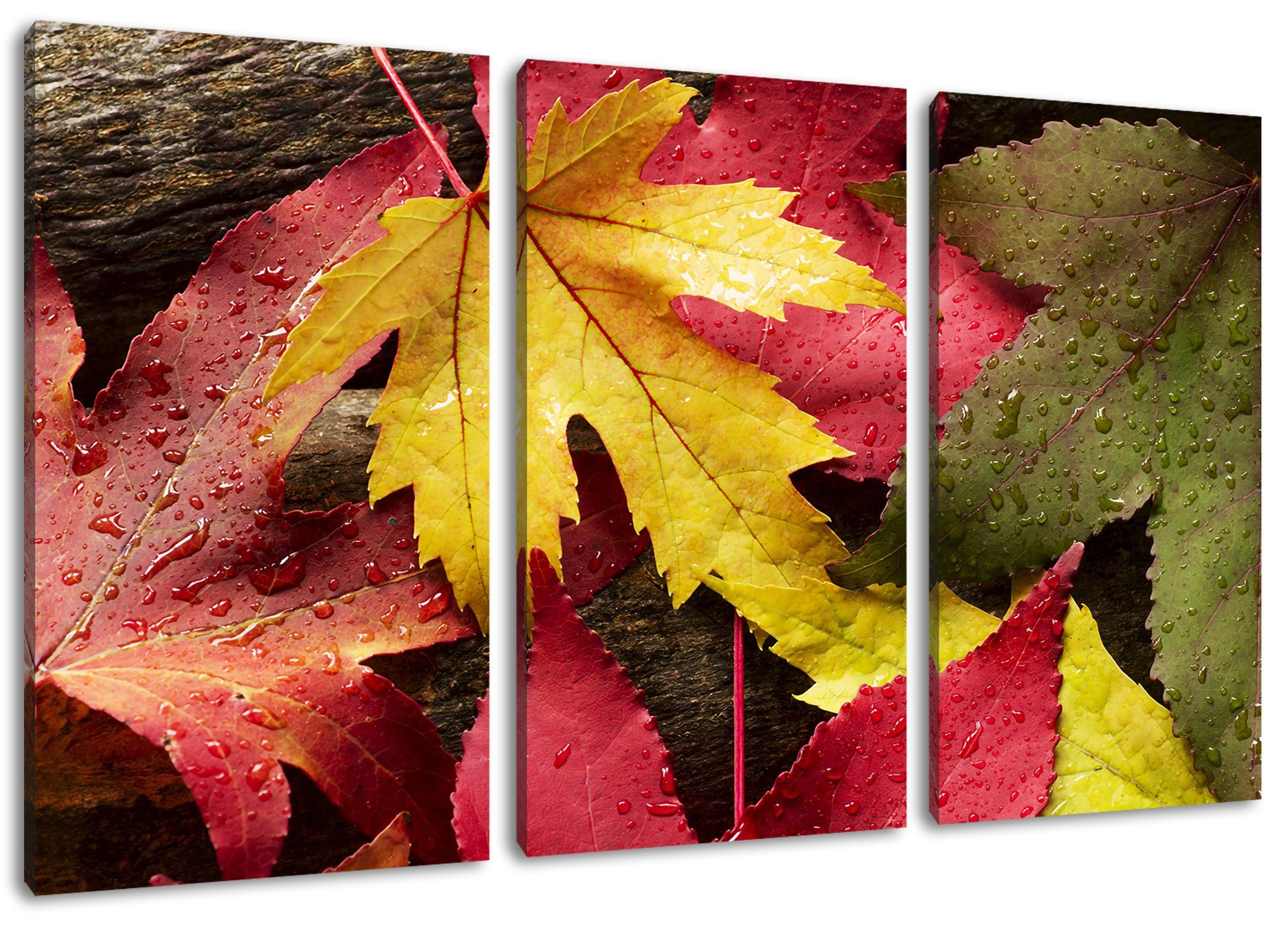 Zackenaufhänger fertig Leinwandbild Herbstblätter, bespannt, 3Teiler Herbstblätter St), inkl. Bunte Pixxprint (120x80cm) Bunte (1 Leinwandbild