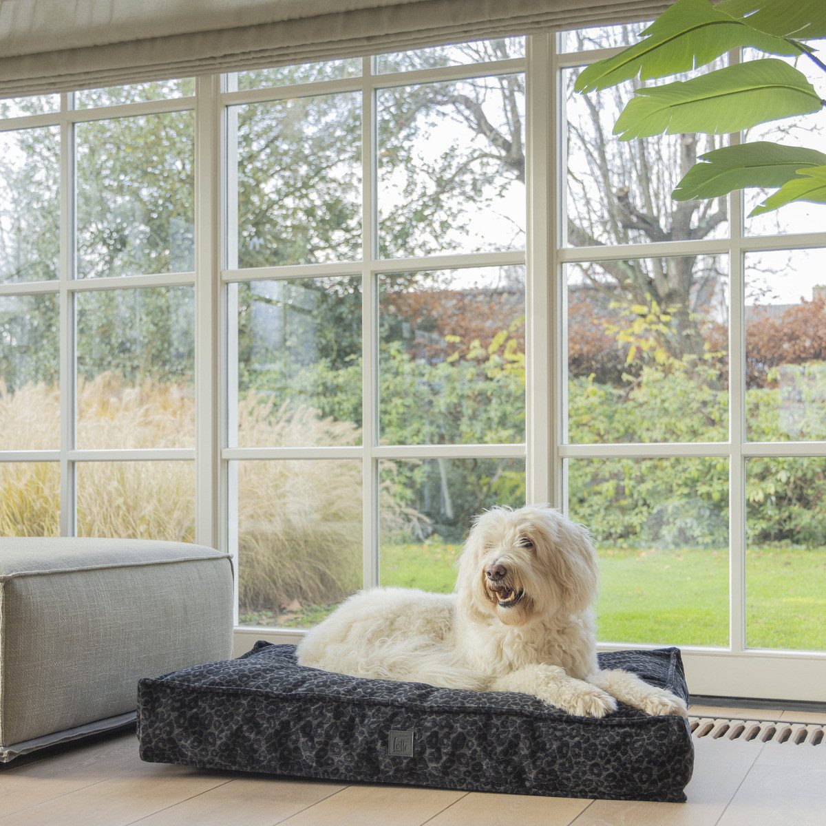 Designed By Lotte Tierkissen Orthopädisches Hundekissen Wild Essence anthrazit