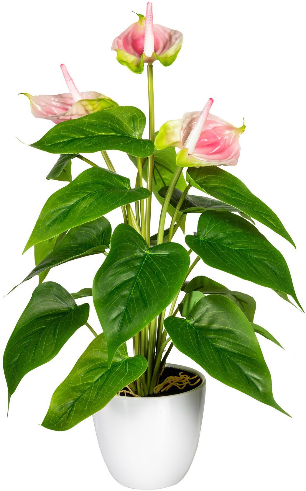 Kunstpflanze Haune Anthurie, OTTO home, Höhe 40 cm, im Topf