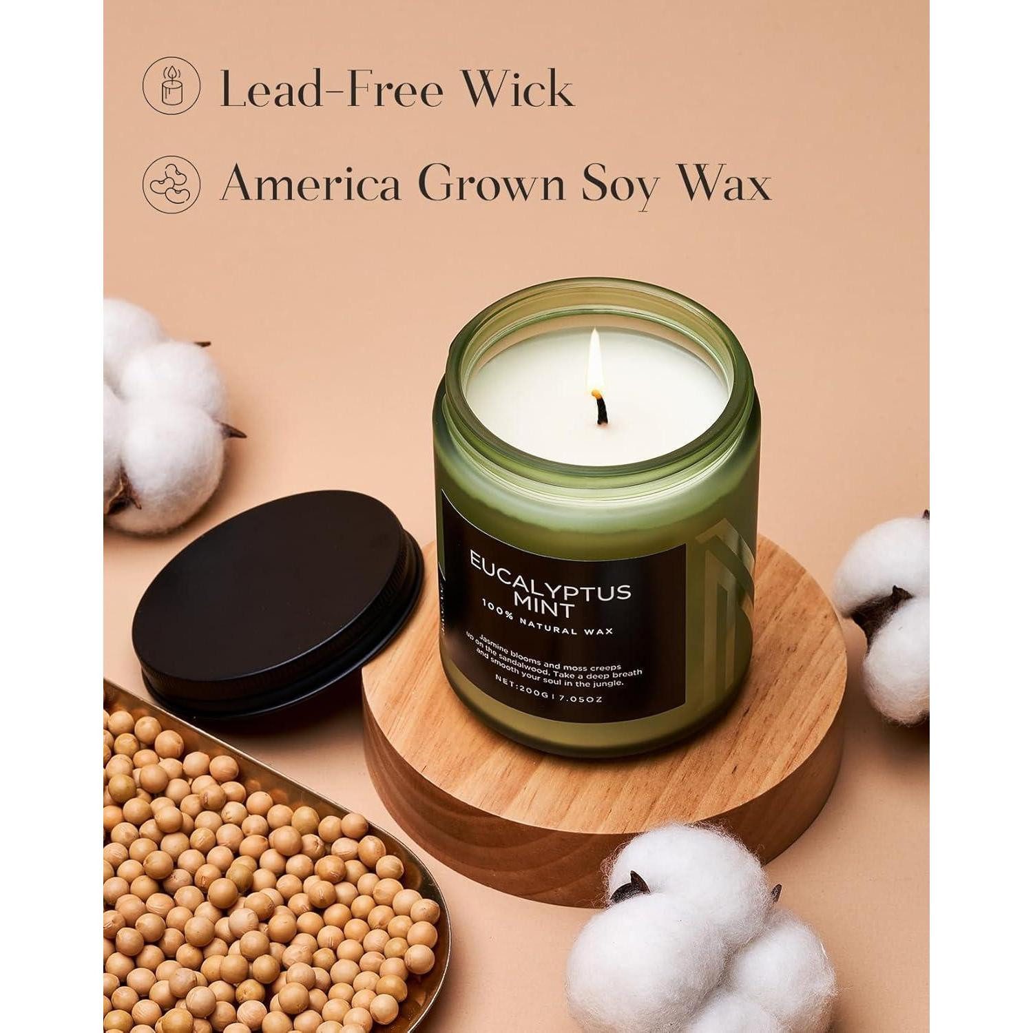 LuxusKollektion Duftkerze Duftkerze Sojawachs Minze Eukalyptus 200g 50Std Eukalyptusminze 200g