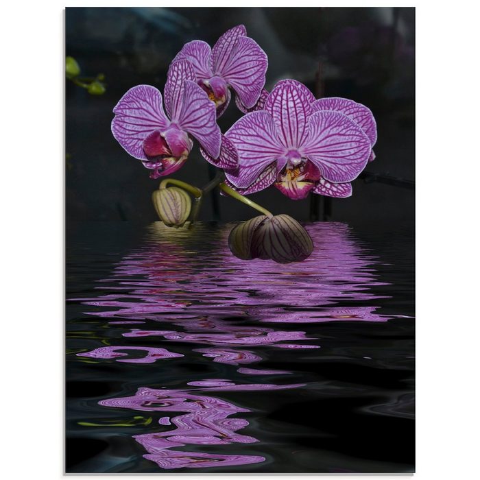 Artland Glasbild Wasserorchidee Blumen (1 St) in verschiedenen Größen