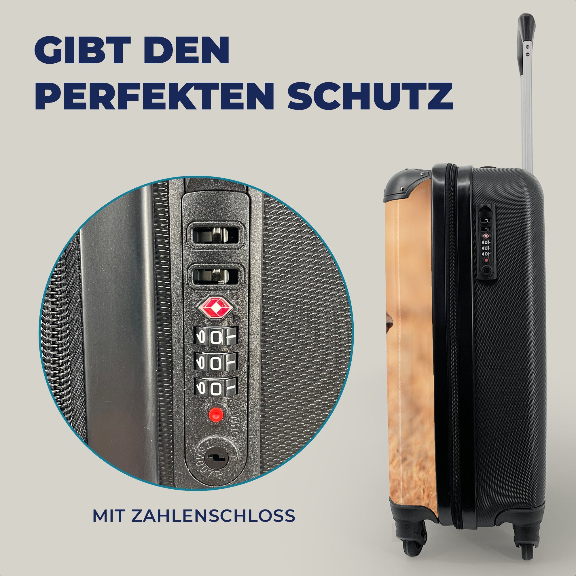 MuchoWow Handgepäckkoffer Sonne - Löwe - Jagd, 4 Rollen, Reisetasche mit rollen, Handgepäck für Ferien, Trolley, Reisekoffer