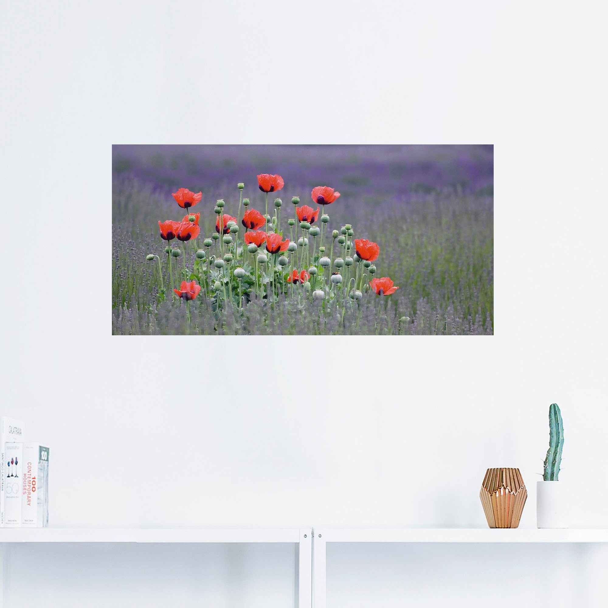 versch. als - Größen in Wandaufkleber Wandbild Mohnblumen, Lavendelfarm Alubild, Sequim in Blumenwiese Artland Leinwandbild, oder Poster St), (1